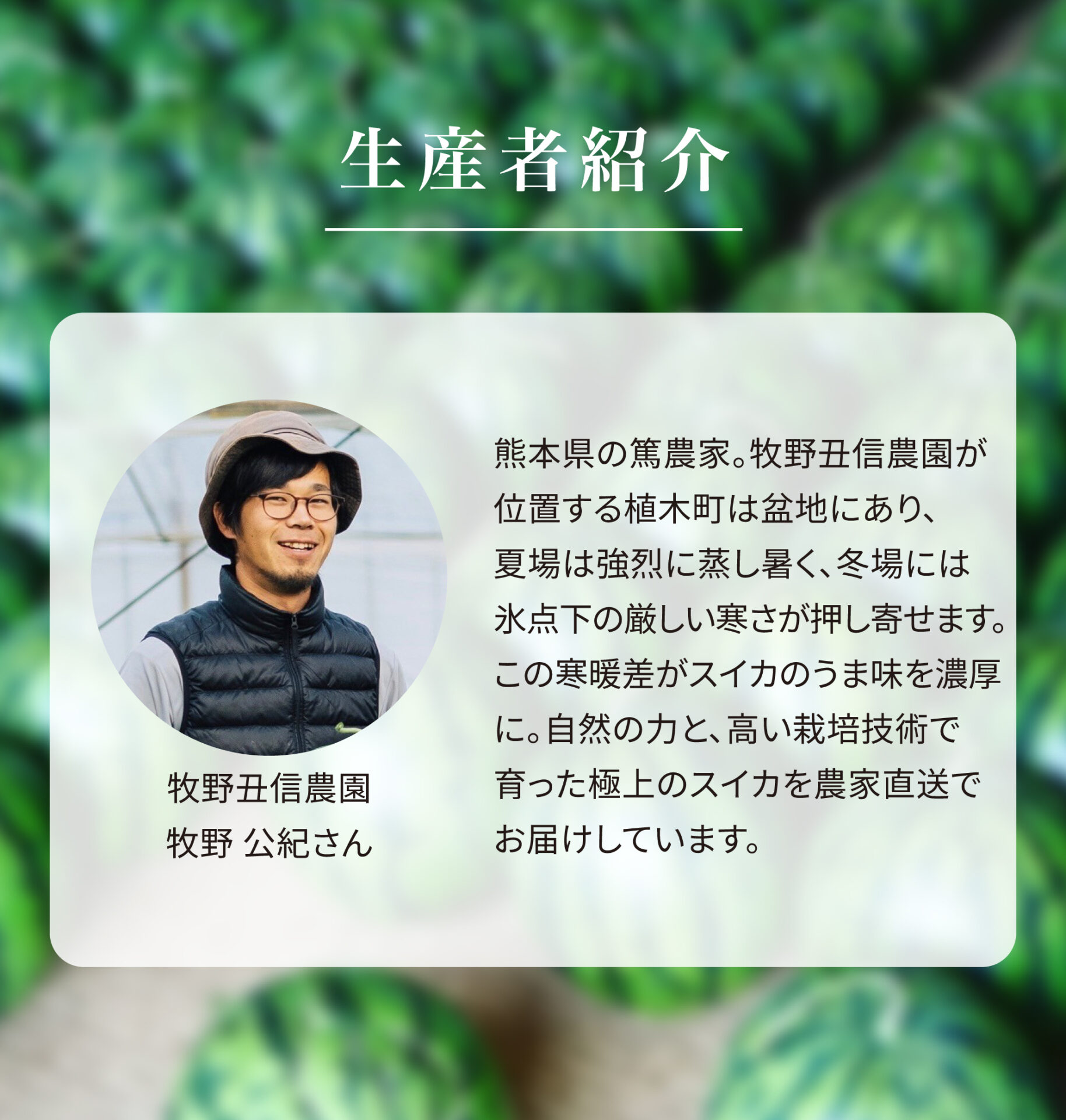 牧野丑信農園　熊本県の篤農家。牧野丑信農園が位置する植木町は盆地にあり、夏場は強烈に蒸し暑く、冬場には氷点下の厳しい寒さが押し寄せます。この寒暖差がスイカのうま味を濃厚に。自然の力と、高い栽培技術で育った極上のスイカを農家直送でお届けしています。