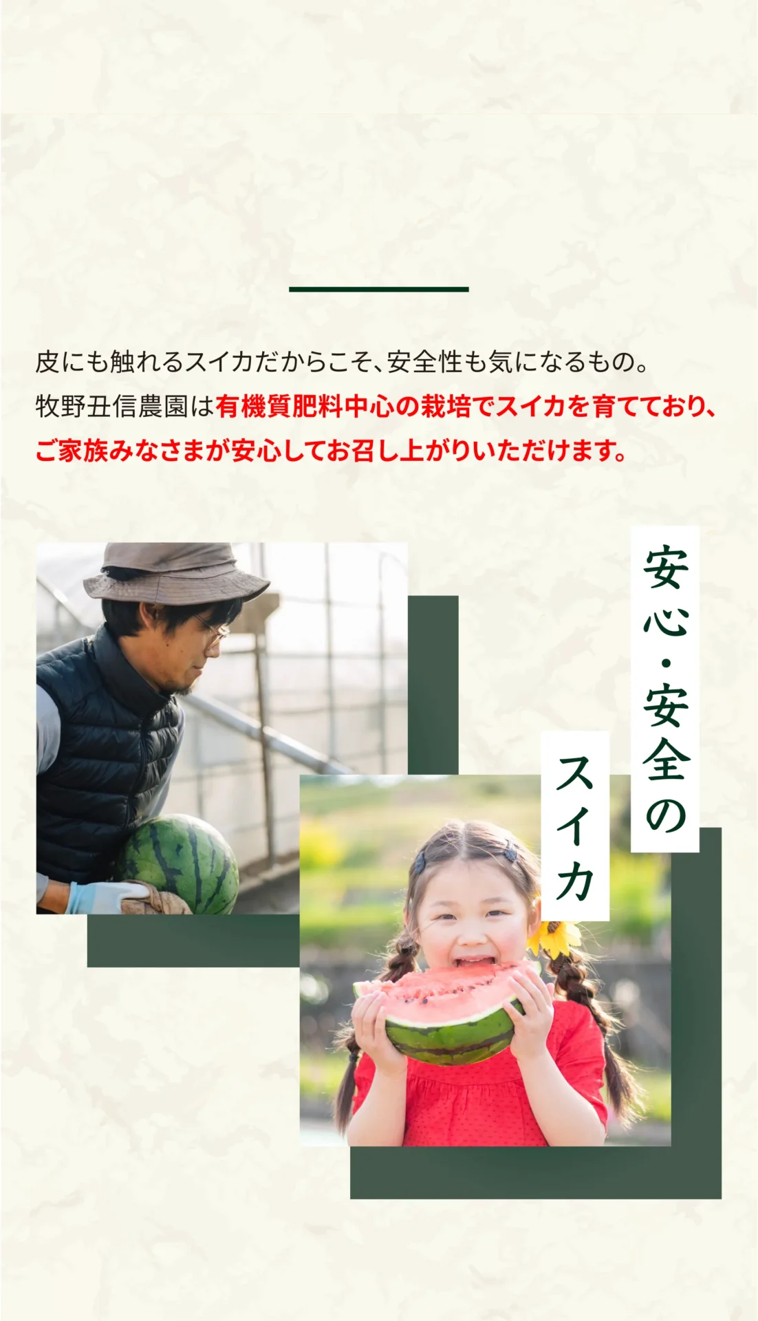 皮にも触れるスイカだからこそ、安全性も気になるもの。牧野丑信農園は有機質肥料中心の栽培でスイカを育てており、ご家族みなさまが安心してお召し上がりいただけます。