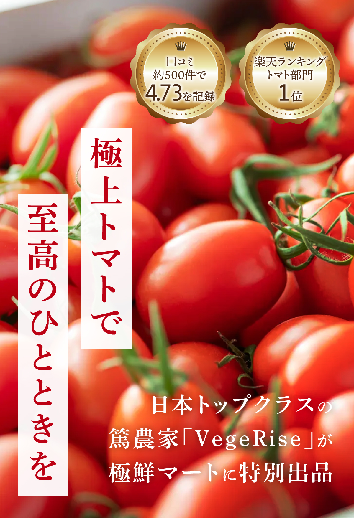 極上トマトで至高のひとときを 楽天ランキングトマト部門1位 口コミ約500件で4.73を記録 日本トップクラスの篤農家「VageRise」が極鮮マートに特別出品