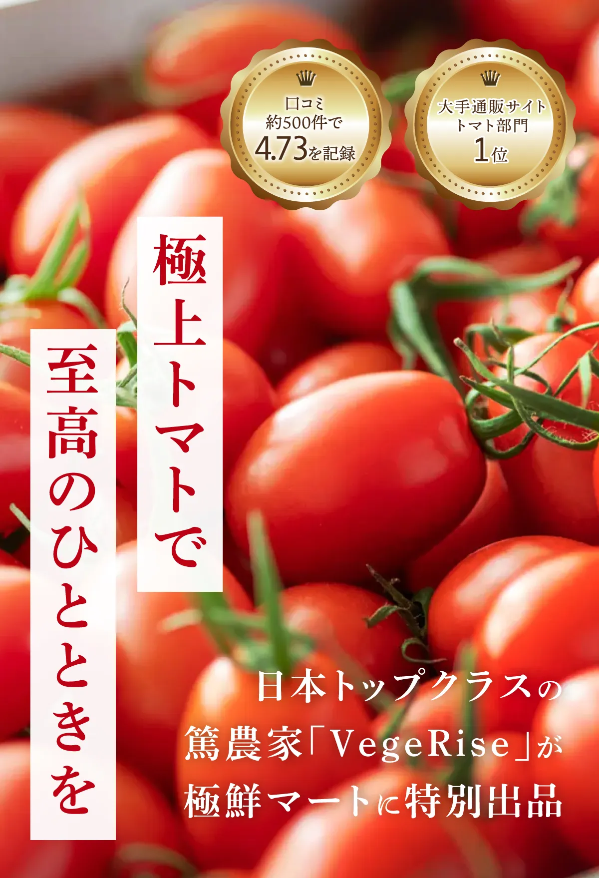 日本トップクラスの篤農家「VegeRise」が極鮮マートに特別出品