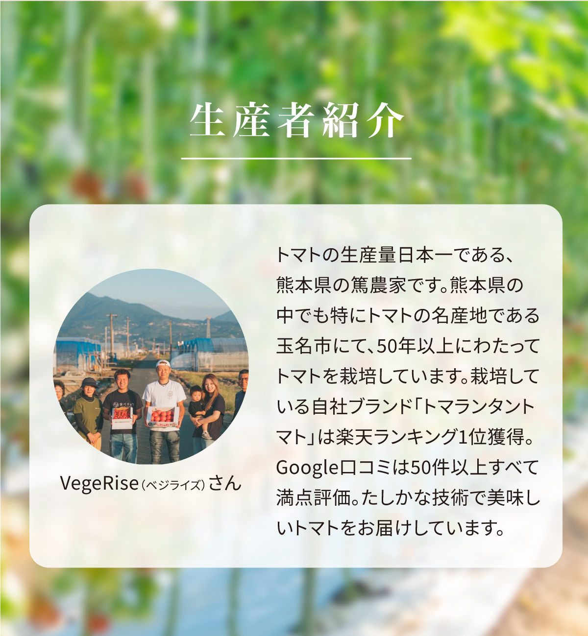 生産者紹介 VegeRise(ベジライズ)さん トマトの生産量日本一である、熊本県の篤農家です。熊本県の中でも特にトマトの名産地である玉名市にて、50年以上にわたってトマトを栽培しています。栽培している自社ブランド「トマランタントマト」は楽天ランキング1位獲得。Google口コミは50件以上すべて満点評価。たしかな技術で美味しいトマトをお届けしています。