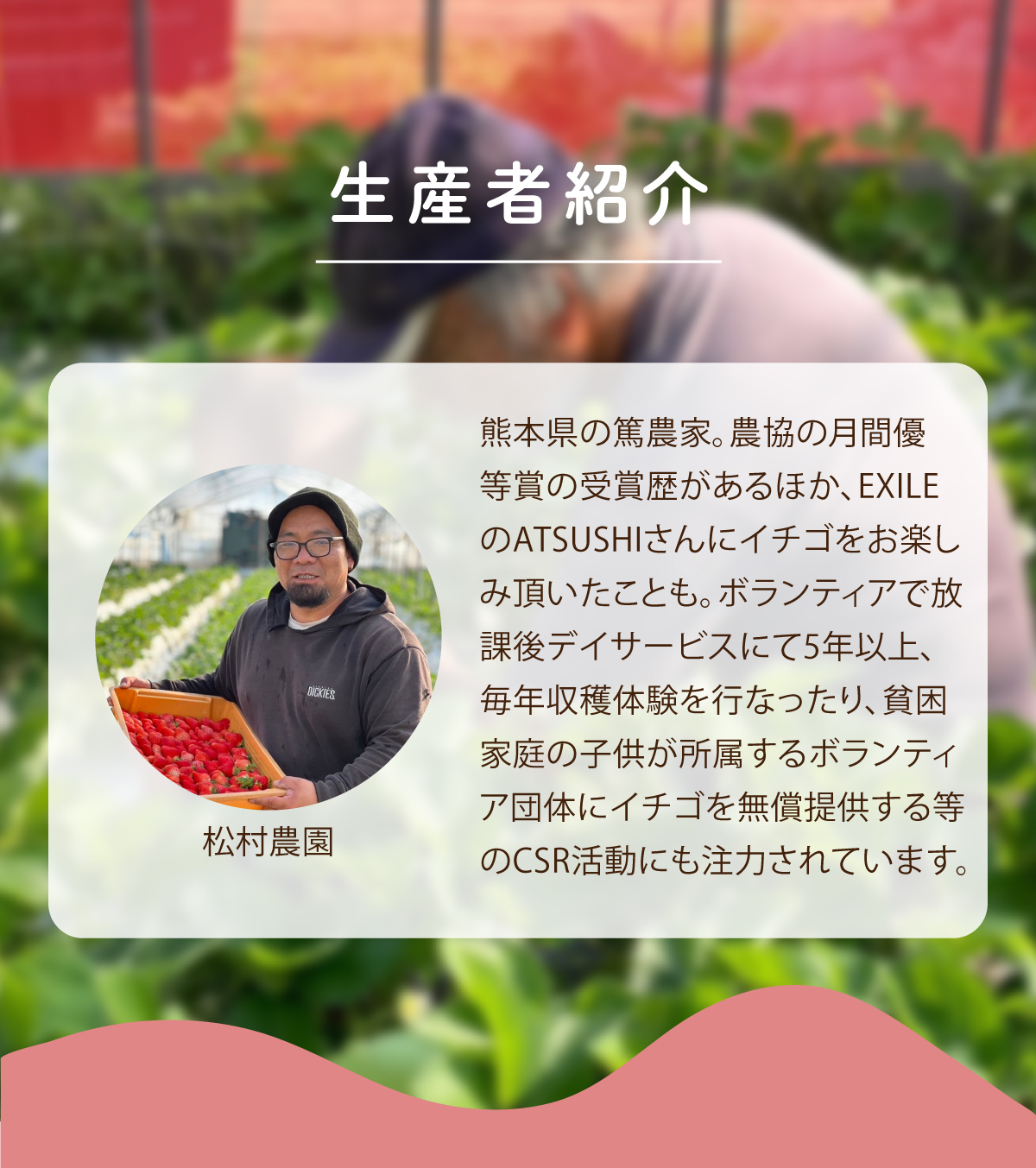生産者紹介 松村農園 熊本県の篤農家。農協の月間優等賞の受賞歴があるほか、EXILEのATSUSHIさんにイチゴをお楽しみ頂いたことも。ボランティアで放課後デイサービスにて5年以上、毎年収穫体験を行ったり、貧困家庭の子供が所属するボランティア団体にイチゴを無償提供する等のCSR活動にも注力されています。