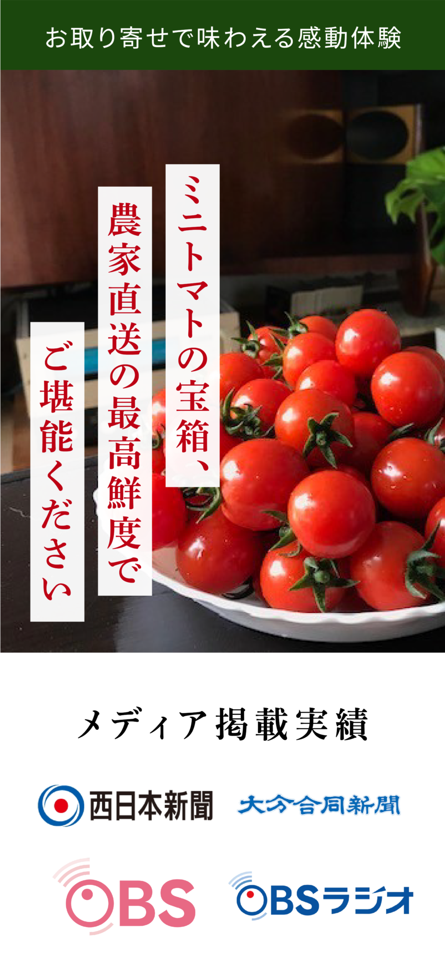 お取り寄せで味わえる感動体験 ミニトマトの宝箱、農家直送の最高鮮度でご堪能ください メディア掲載実績 西日本新聞 大分合同新聞 OBS OBSラジオ