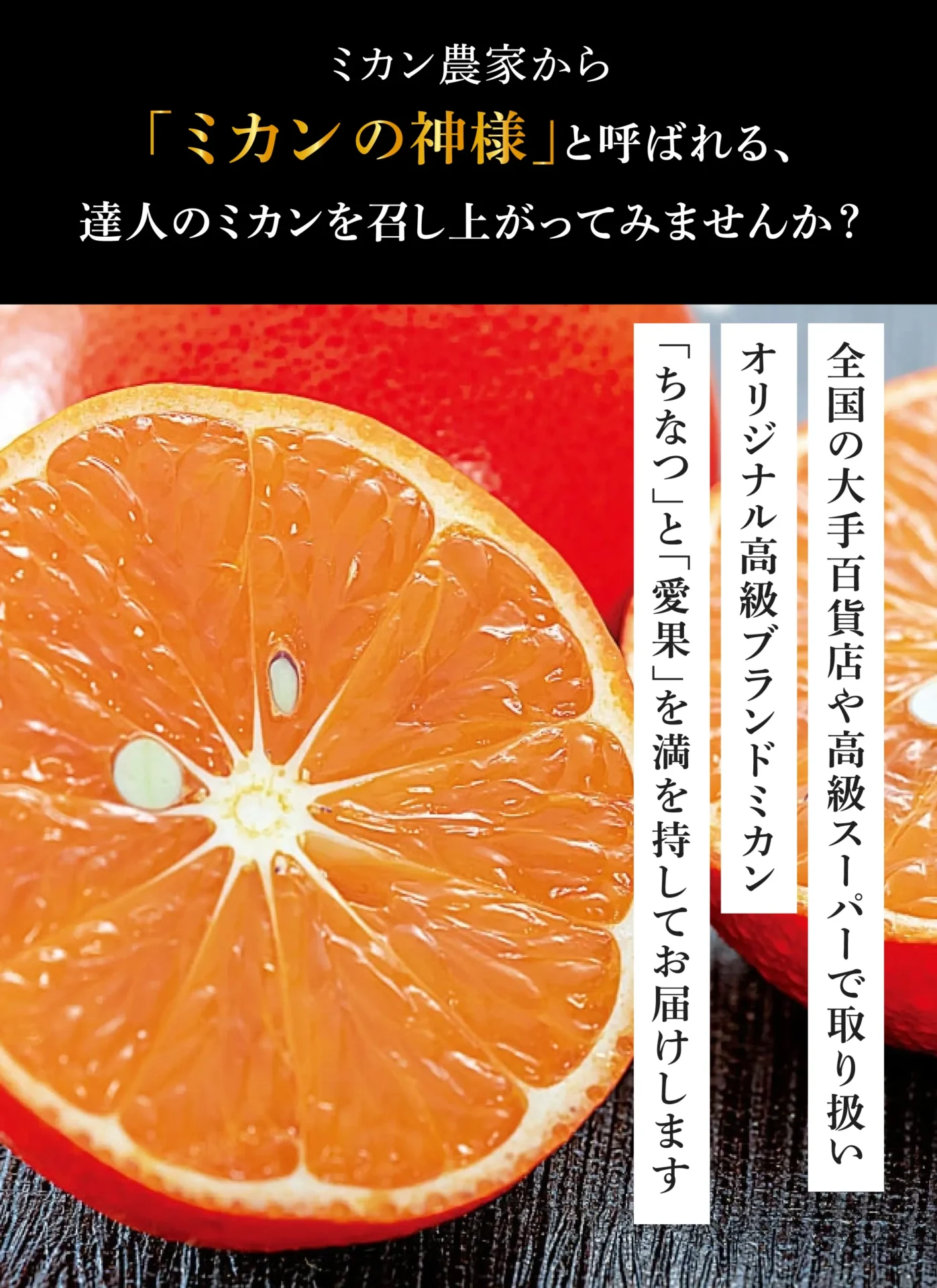 ミカン農家から「ミカンの神様」と呼ばれる、達人のミカンを召し上がってみませんか？全国の大手百貨店や高級スーパーで取り扱い。オリジナル高級ブランドミカン「ちなつ」と「愛果」を満を持してお届けします。