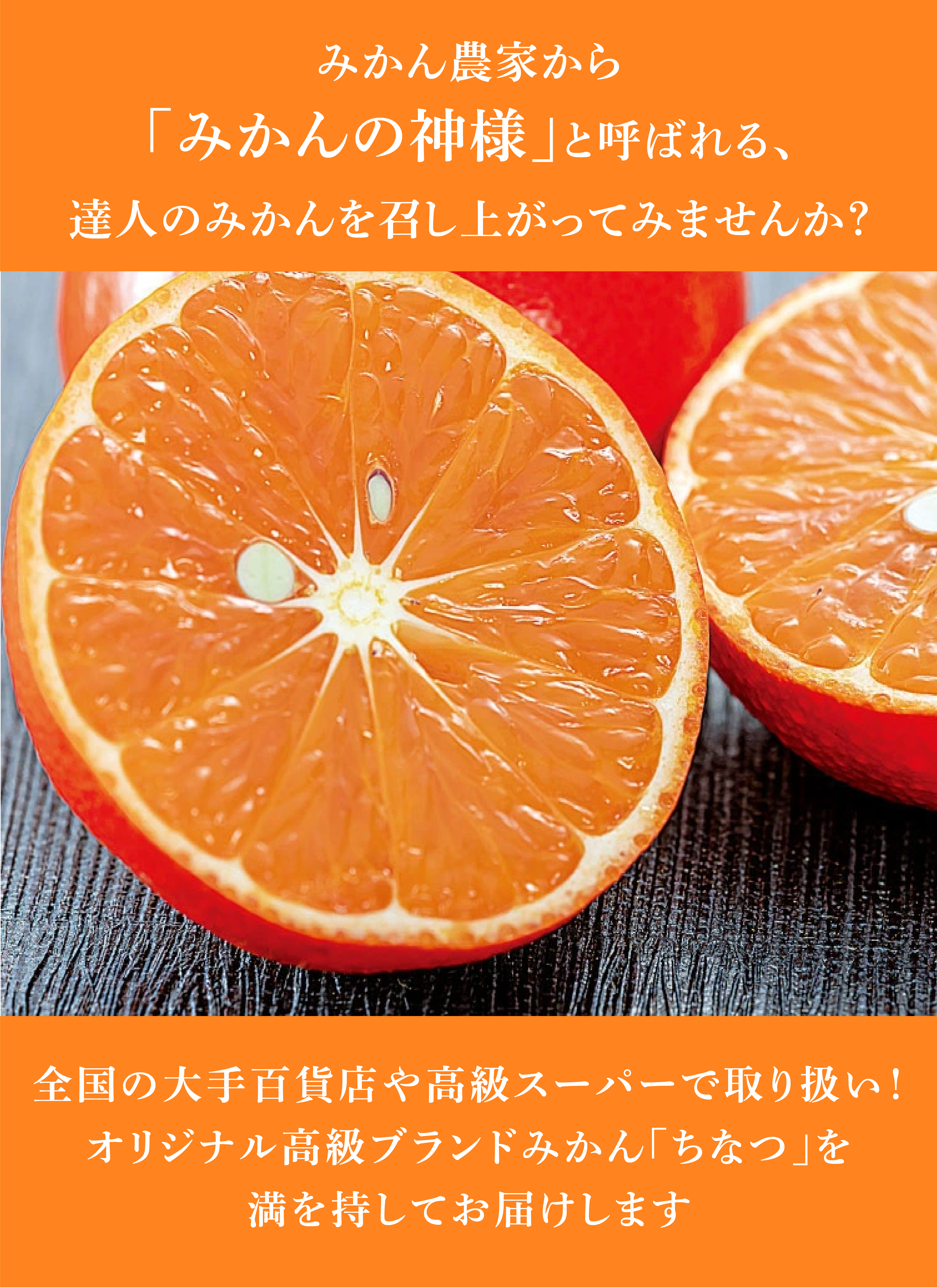 みかん様♡専用ページ 小原紅早生みかん | しなじみかん園