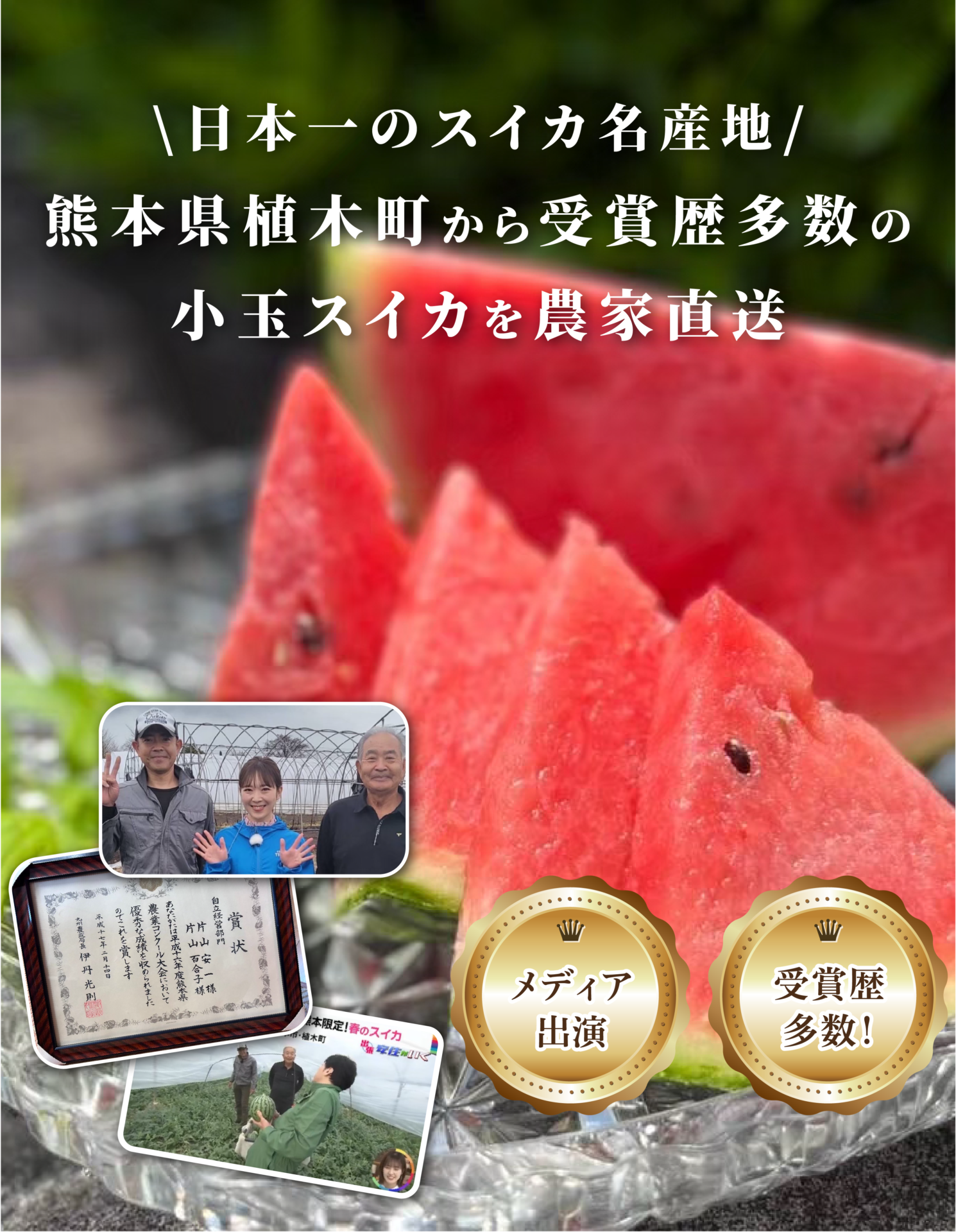 日本一のスイカ名産地 熊本県植木町から受賞歴多数の小玉スイカを農家直送