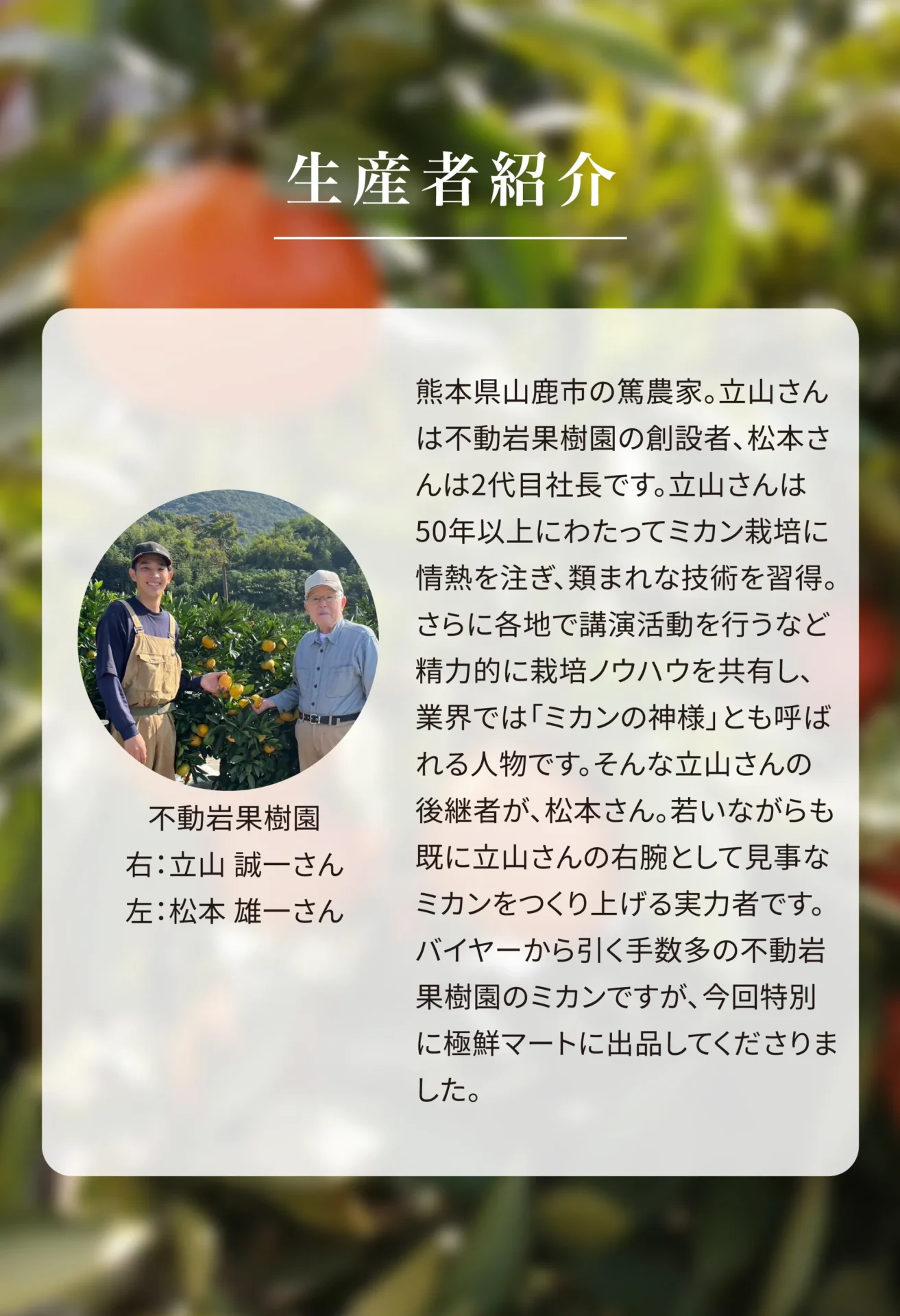 不動岩果樹園
右：立山 誠一さん
左：松本 雄一さん


熊本県山鹿市の篤農家。
立山さんは不動岩果樹園の創設者、松本さんは2代目社長です。立山さんは50年以上にわたってミカン栽培に情熱を注ぎ、類まれな技術を習得。さらに各地で講演活動を行うなど精力的に栽培ノウハウを共有し、業界では「ミカンの神様」とも呼ばれる人物です。そんな立山さんの後継者が、松本さん。若いながらも既に立山さんの右腕として見事なミカンを作り上げる実力者です。バイヤーから引く手数多の不動岩果樹園のミカンですが、今回特別に極鮮マートに出品してくださりました。

