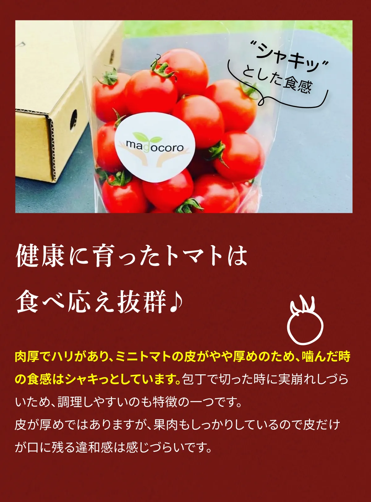 健康に育ったトマトは食べ応え抜群♪肉厚でハリがあり、ミニトマトの皮がやや厚めのため、噛んだ時の食感はシャキッとしています。包丁で切った時に実崩れしづらいため、調理しやすいのも特徴の一つです。皮が厚めではありますが、果肉もしっかりしているので皮だけが口に残る違和感は感じづらいです。