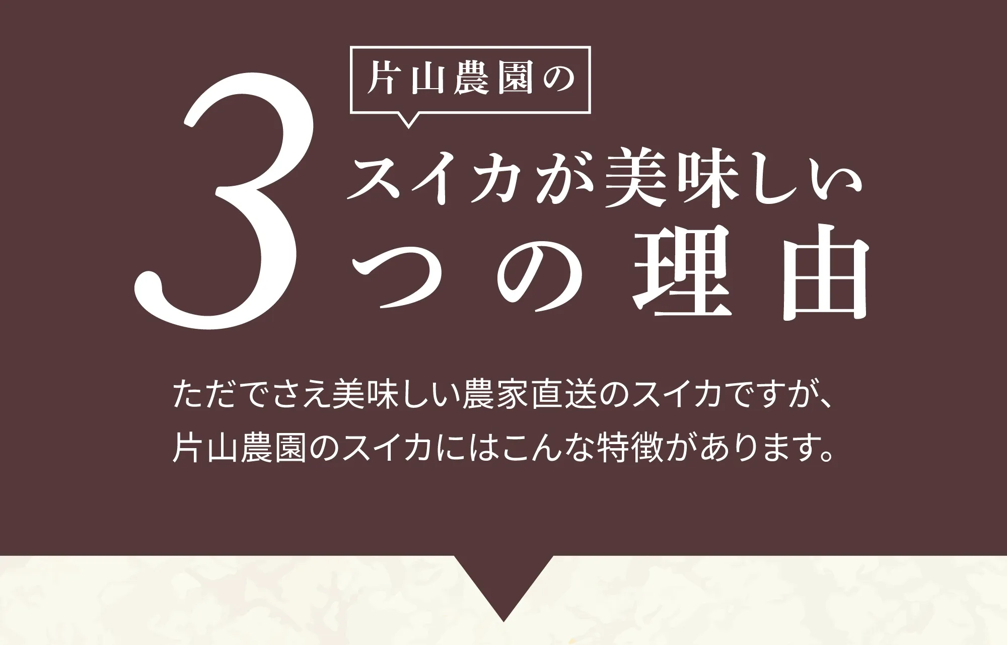 片山農園のスイカが美味しい3つの理由　ただでさえ美味しい農家直送のスイカですが、片山農園のスイカにはこんな特徴があります。