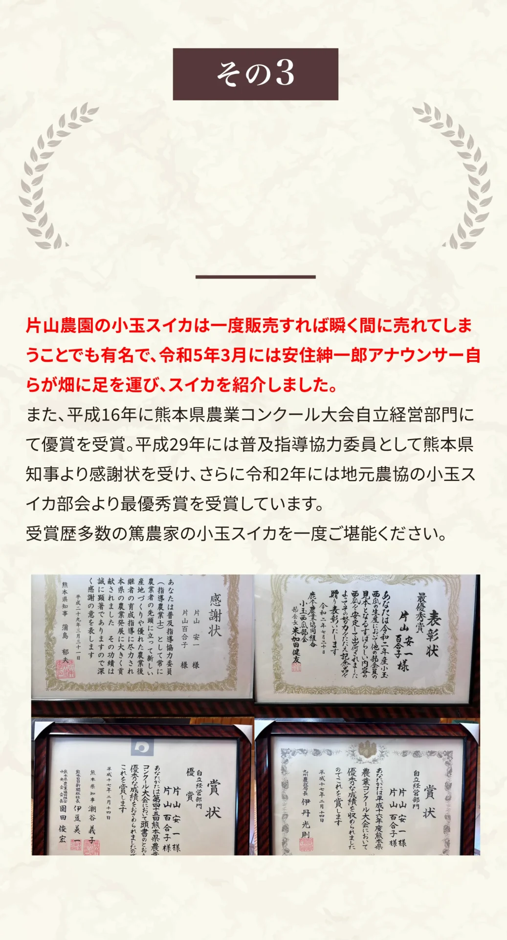 片山農園の小玉スイカは一度販売すれば瞬く間に売れてしまうことでも有名で、令和5年3月には安住紳一郎アナウンサー自らが畑に足を運び、スイカを紹介しました。また、平成16年に熊本県農業コンクール大会自立経営部門にて優賞を受賞。平成29年には普及指導協力委員として熊本県知事より感謝状を受け、さらに令和2年には地元農協の小玉スイカ部会より最優秀賞を受賞しています。受賞歴多数の篤農家の小玉スイカを一度ご堪能ください。