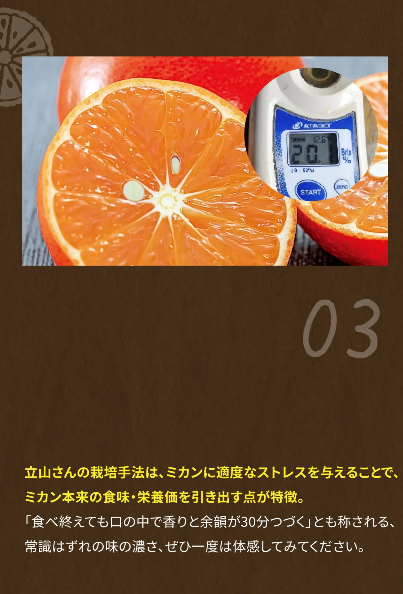 立山さんの栽培手法は、ミカンに適度なストレスを与えることで、ミカン本来の食味・栄養価を引き出す点が特徴。常識はずれの味の濃さ、ぜひ一度はご堪能ください。