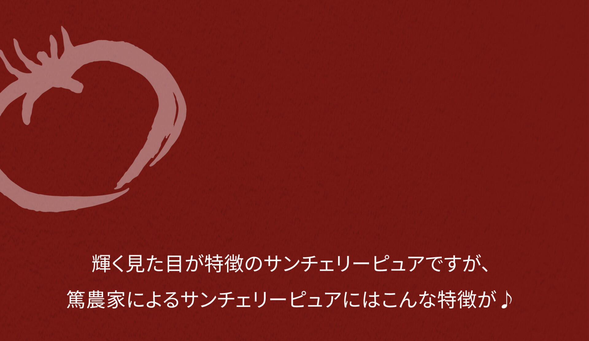 輝く見た目が特徴のサンチェリーピュアですが、篤農家によるサンチェリーピュアにはこんな特徴が。