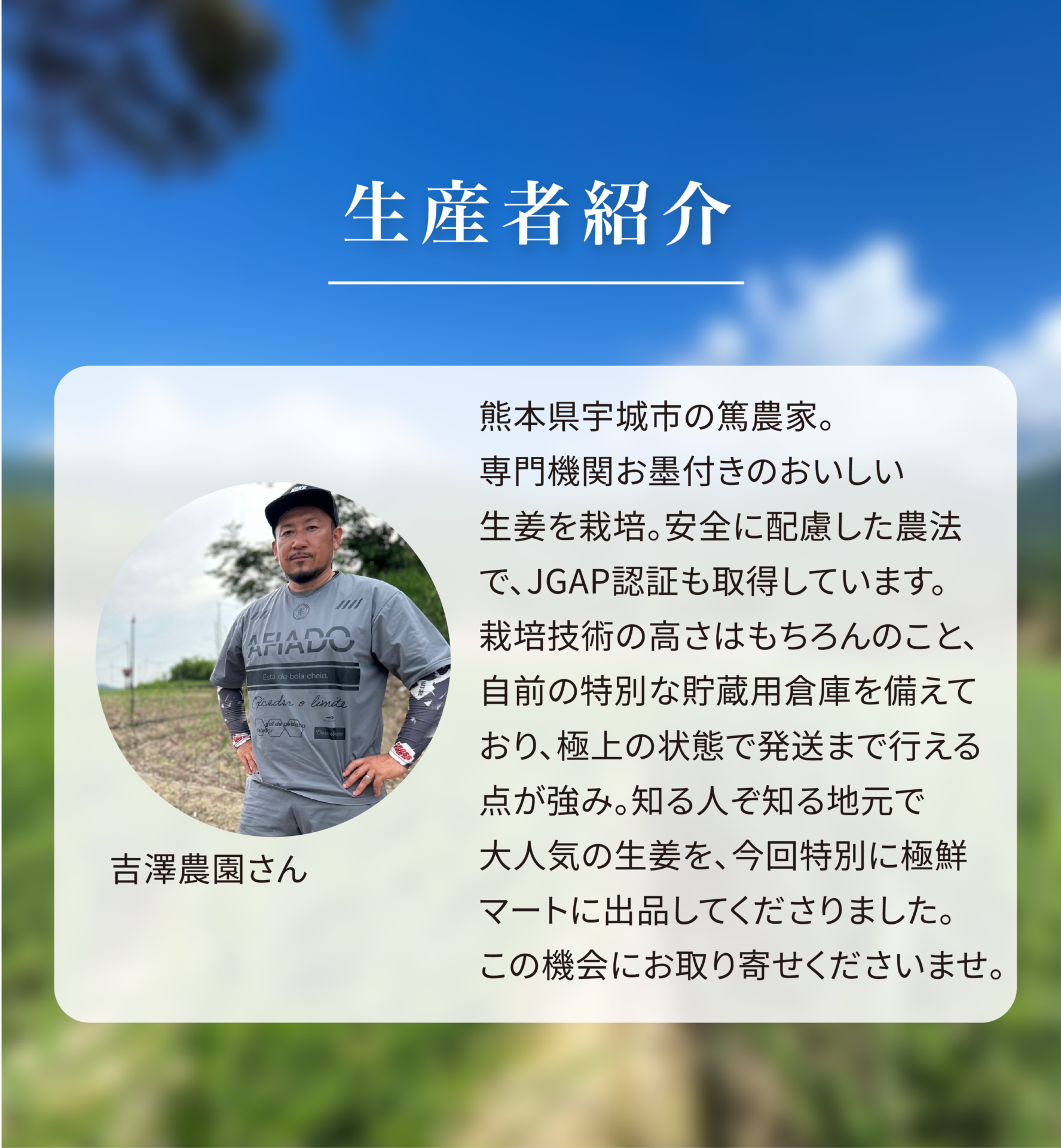 生産者紹介 吉澤農園さん 熊本県宇城市の篤農家。専門機関お墨付きのおいしい生姜を栽培。安全に配慮した農法で、JGAP認証も取得しています。栽培技術の高さはもちろんのこと、自前の特別な貯蔵用倉庫を備えており、極上の状態で発送まで行える点が強み。知る人ぞ知る地元で大人気の生姜を、今回特別に極鮮マートに出品してくださりました。この機会にお取り寄せくださいませ。