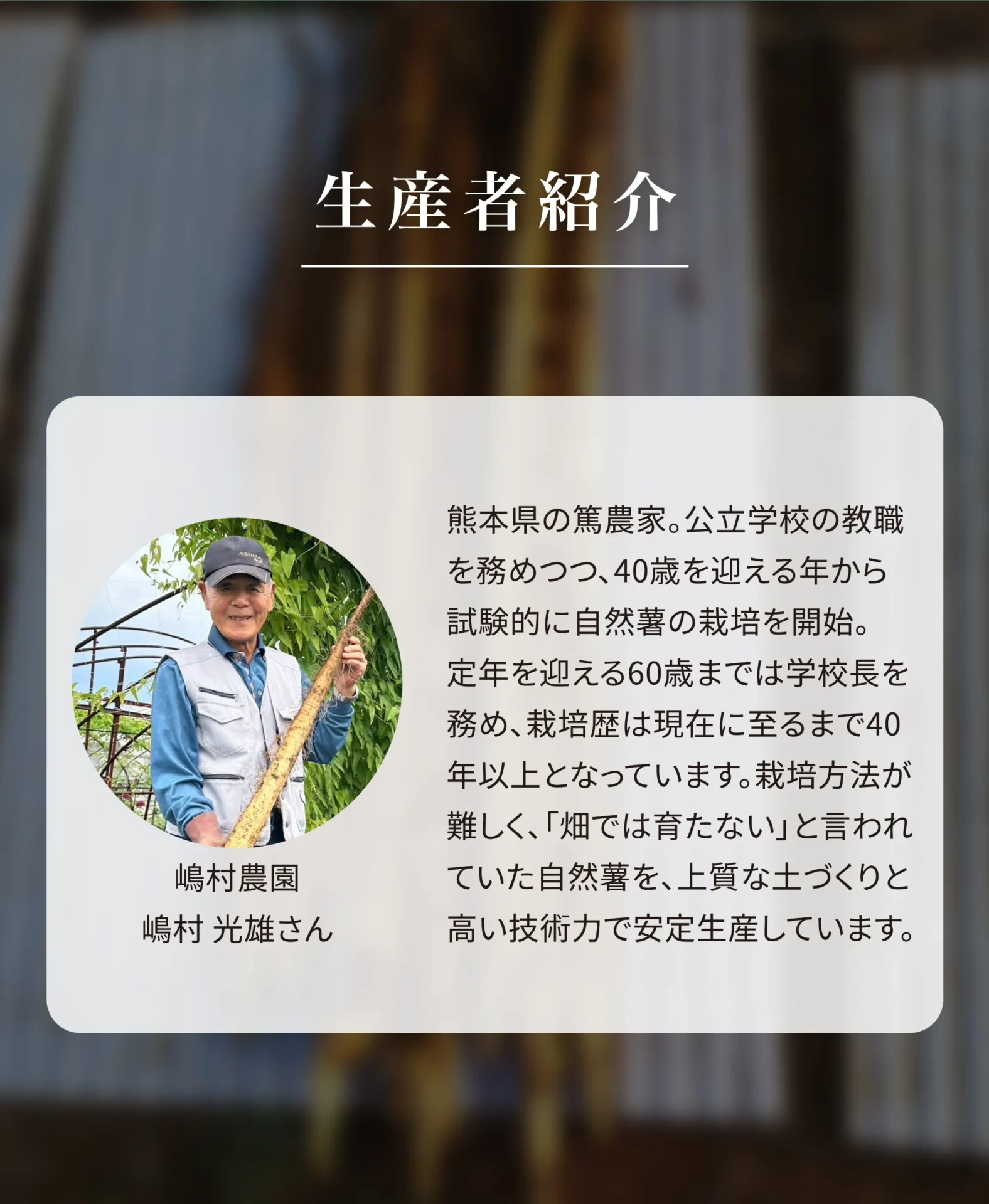 生産者紹介　嶋村農園　嶋村光雄さん　熊本県の篤農家。公立学校の教職を務めつつ、40歳を迎える年から試験的に自然薯の栽培を開始。定年を迎える60歳までは学校長を務め、栽培歴は現在に至るまで40年以上となっています。栽培方法が難しく、「畑では育たない」と言われていた自然薯を、上質な土づくりと高い技術力で安定生産しています。