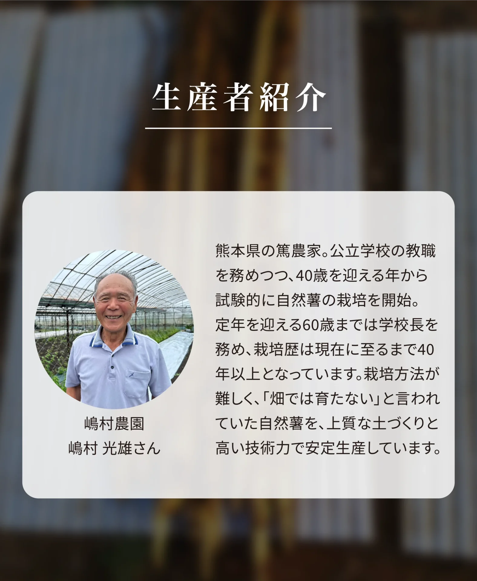 生産者紹介 嶋村農園 嶋村光雄さん 熊本県の篤農家。公立学校の教職を務めつつ、40歳を迎える年から試験的に自然薯の栽培を開始。定年を迎える60歳までは学校長を務め、栽培歴は現在に至るまで40年以上となっています。栽培方法が難しく、「畑では育たない」と言われていた自然薯を、上質な土づくりと高い技術力で安定生産しています。