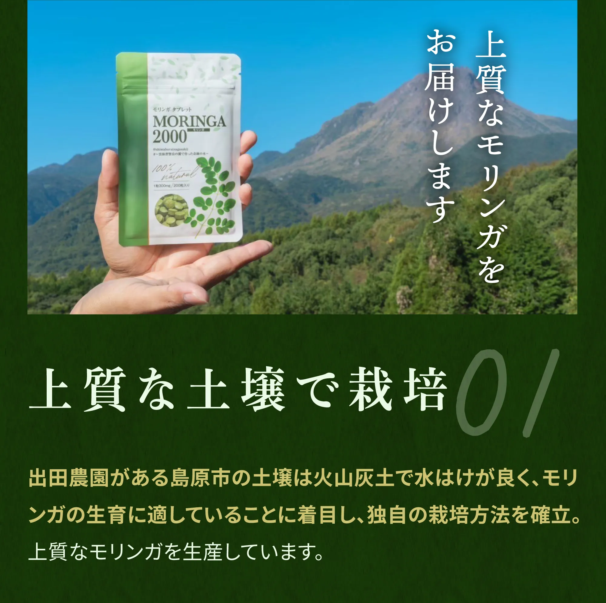 上質な土壌で育ったモリンガを使用　島原市の土壌は火山灰土で水はけが良く、モリンガの生育に適していることに着目し、独自の栽培方法を確立。上質なモリンガを栽培しています。