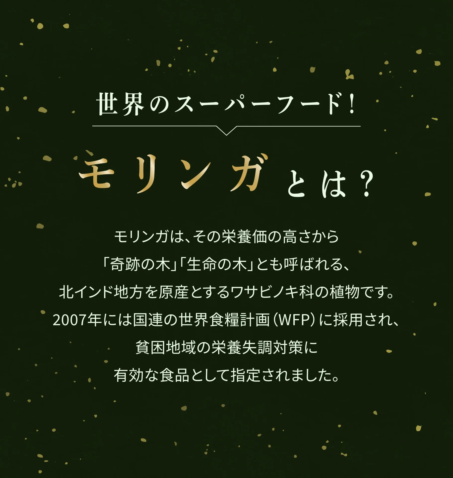 世界のスーパーフード！モリンガとは？ モリンガは、その栄養価の高さから「奇跡の木」「生命の木」とも呼ばれる、北インド地方を原産とするワサビノキ科の植物です。2007年には国連の世界食糧計画(WFP)に採用され、貧困地域の栄養失調対策に有効な食品として指定されました。