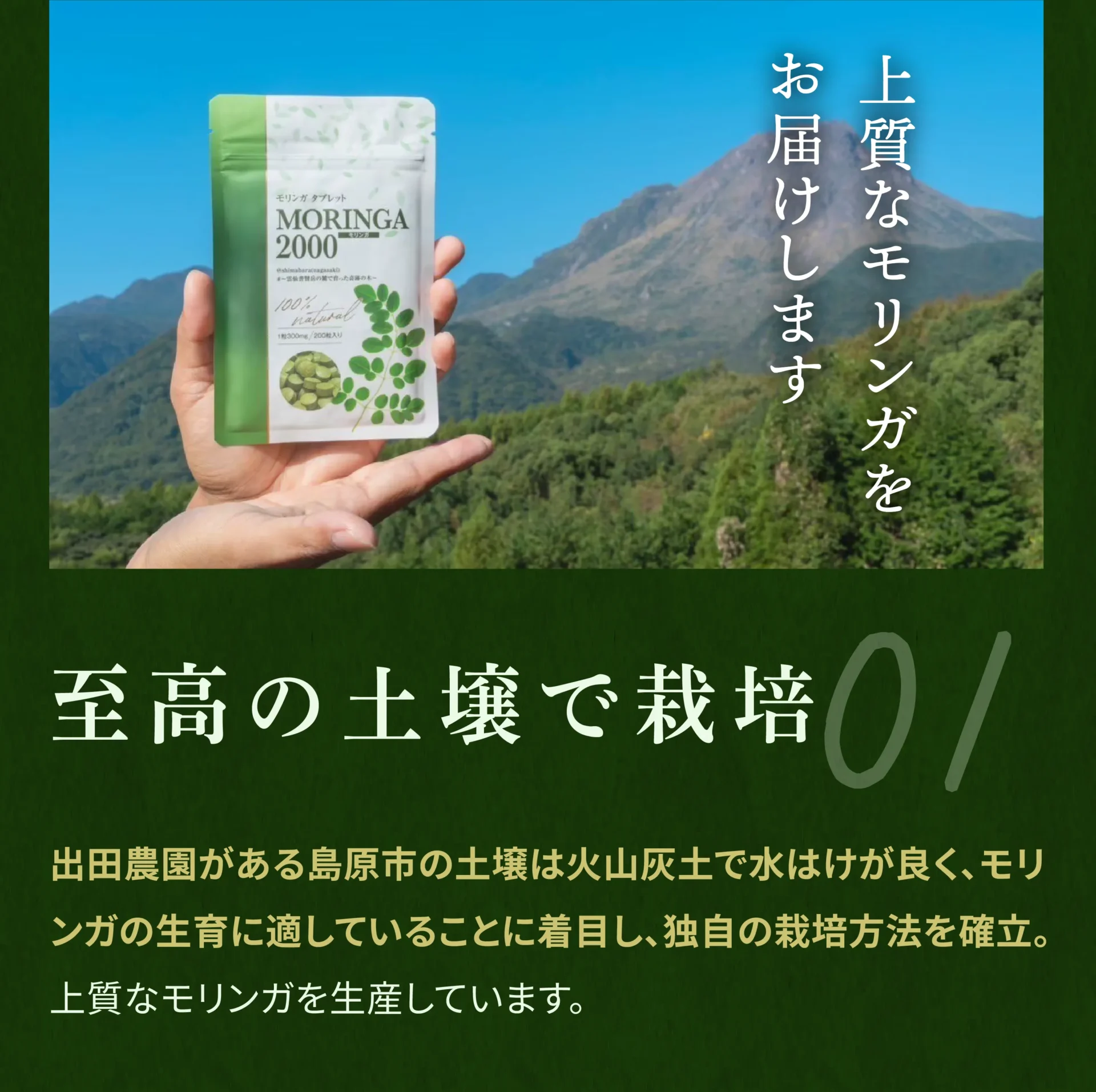 01 至高の土壌で栽培 出田農園がある島原市の土壌は火山灰土で水はけが良く、モリンガの育成に適していることに着目し、独自の栽培方法を確立。上質なモリンガを生産しています。