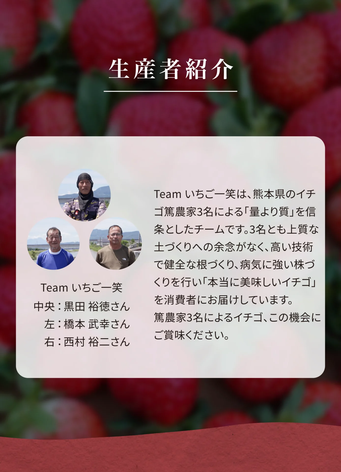 生産者紹介 Teamいちご一笑 中央：黒田裕徳さん 左：橋本武幸さん 右：西村裕二さん Teamいちご一笑は、熊本県のイチゴ篤農家3名による「量より質」を信条としたチームです。3名とも上質な土づくりへの余念がなく、高い技術で健全な根づくり、病気に強い株づくりを行い「本当に美味しいイチゴ」を消費者にお届けしています。篤農家3名によるイチゴ、この機会にご賞味ください。