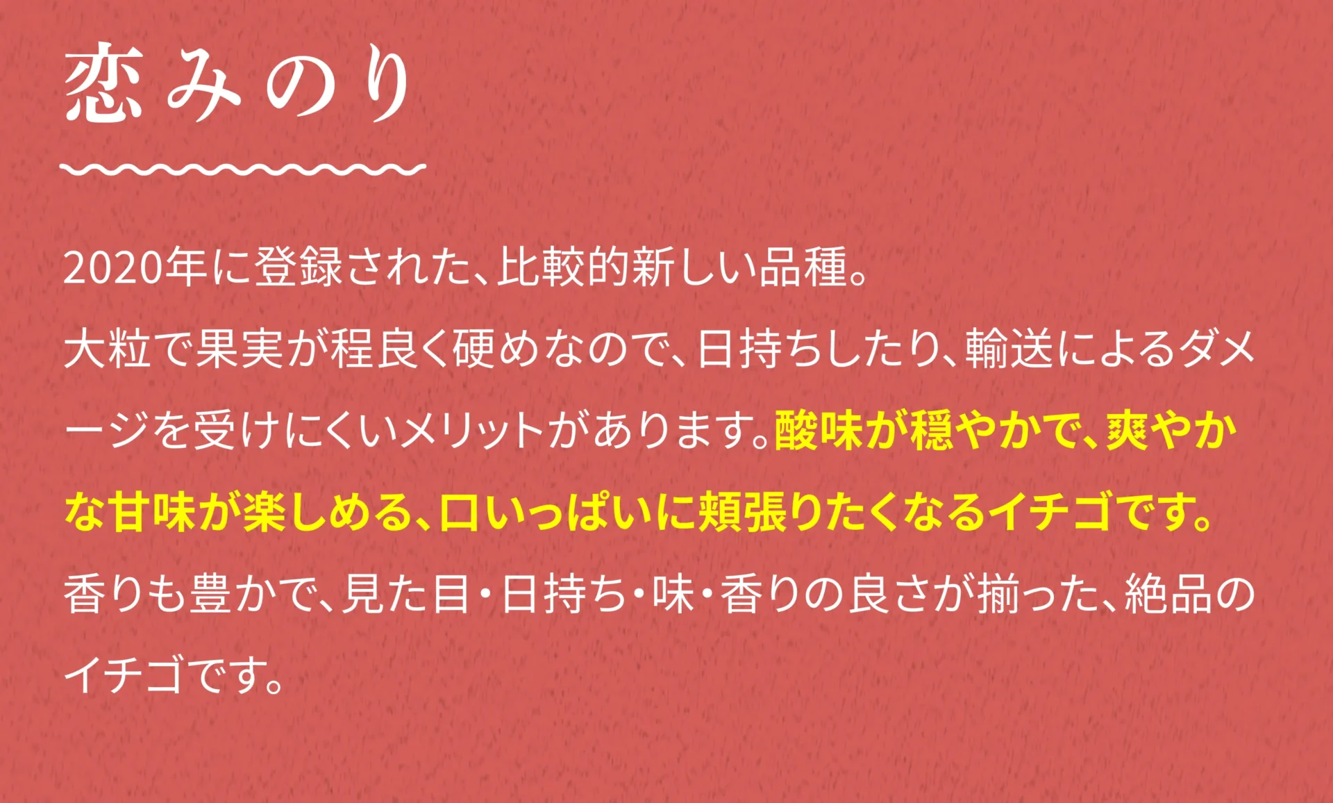 恋みのり 2020年に登録された、比較的新しい品種。大粒で果実が程よく硬めなので、日持ちしたり、輸送によるダメージを受けにくいメリットがあります。酸味が穏やかで、爽やかな甘味が楽しめる、口いっぱいにほおばりたくなるイチゴです。香りも豊かで、見た目・日持ち・味・香りの良さが揃った、絶品のイチゴです。