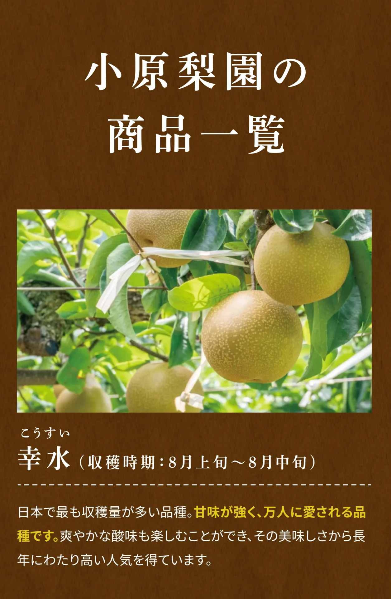 小原梨園の商品一覧 幸水(こうすい)(収穫時期：８月上旬～８月中旬) 日本で最も収穫量が多い品種。甘みが強く、万人に愛される品種です。爽やかな酸味も楽しむことができ、その美味しさから長年にわたり高い人気を得ています。