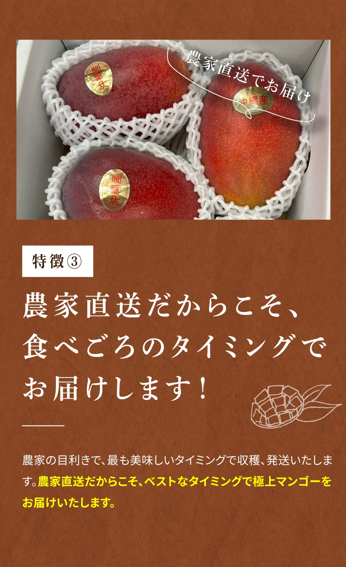 特徴③農家直送だからこそ、食べごろのタイミングでお届けします！ 農家の目利きで、最も美味しいタイミングで収穫、発送いたします。農家直送だからこそ、ベストなタイミングで極上マンゴーをお届けいたします。