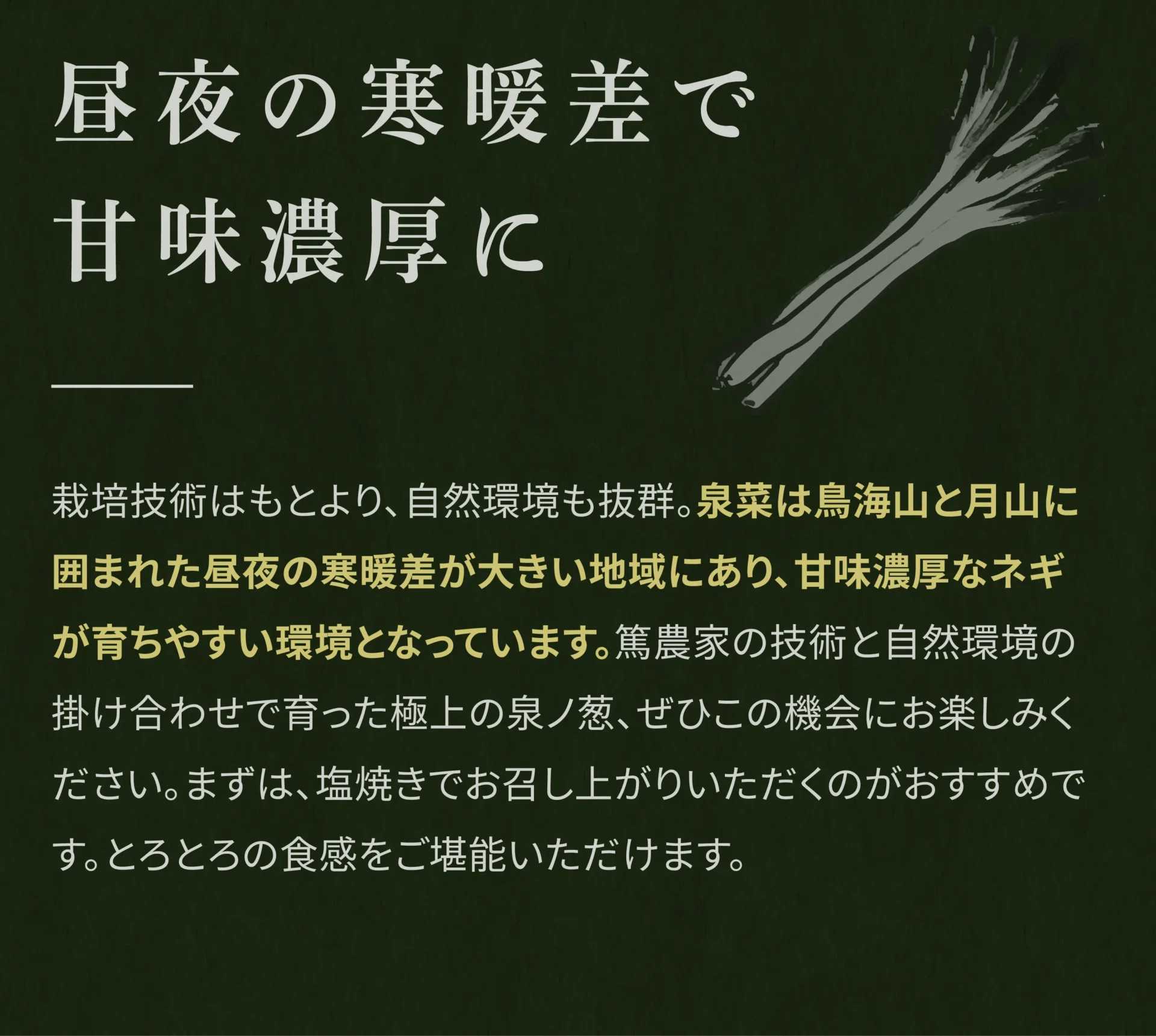 昼夜の寒暖差で甘味濃厚に 栽培技術はもとより、自然環境も抜群。泉菜は鳥海山と月山に囲まれた昼夜の寒暖差が大きい地域にあり、甘味濃厚なネギが育ちやすい環境となっています。篤農家の技術と自然環境の掛け合わせで育った極上の泉ノ葱、ぜひこの機会にお楽しみください。まずは、塩焼きでお召し上がりいただくのがおすすめです。とろとろの食感をご堪能いただけます。