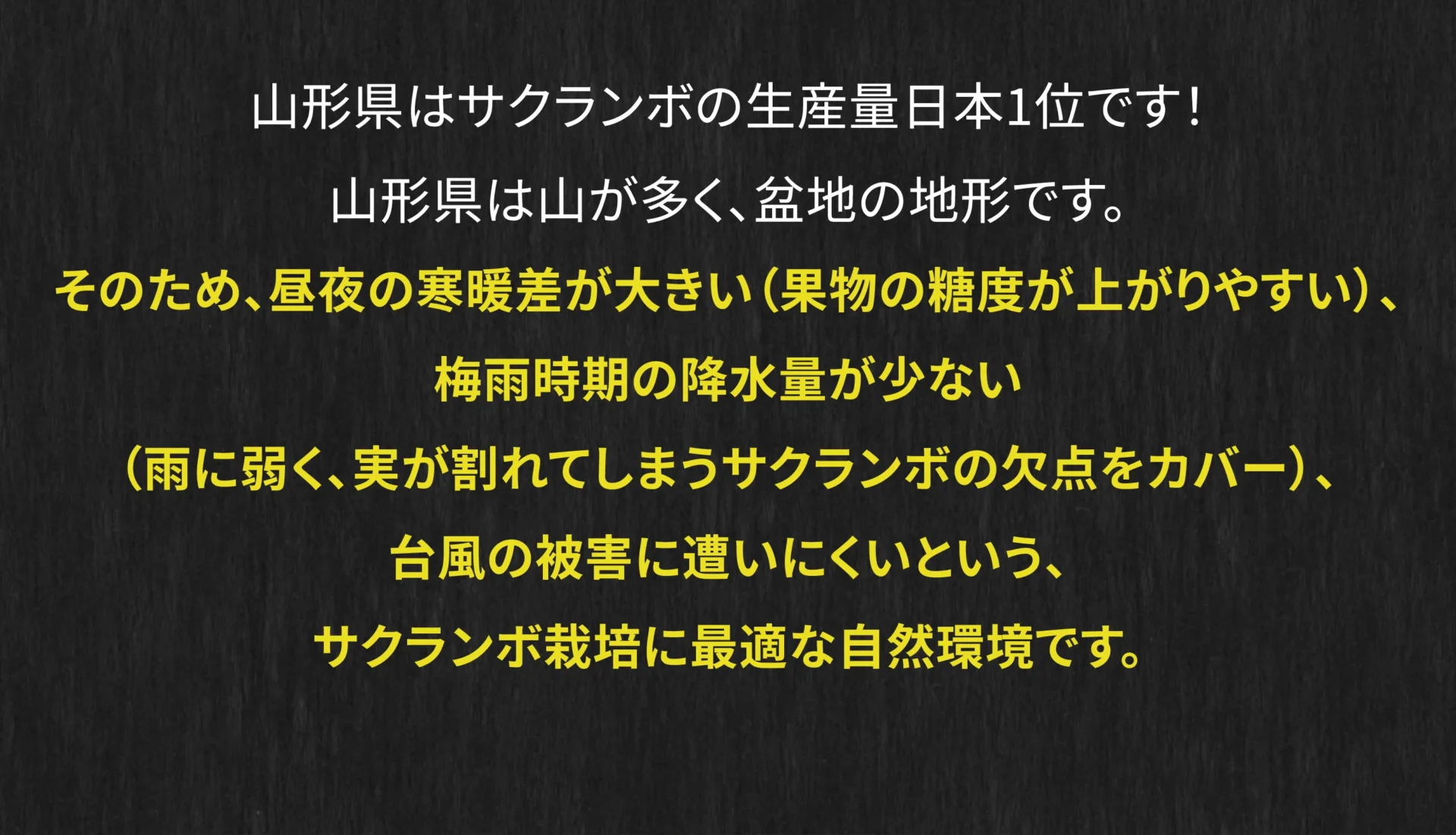 山形県はサクランボの生産量日本1位です！山形県は山が多く、盆地の地形です。そのため、昼夜の寒暖差が大きい（果物の糖度が上がりやすい）、梅雨時期の降水量が少ない（雨に弱く、実が割れてしまうサクランボの欠点をカバー）、台風の被害に遭いにくいという、サクランボ栽培に最適な自然環境です。