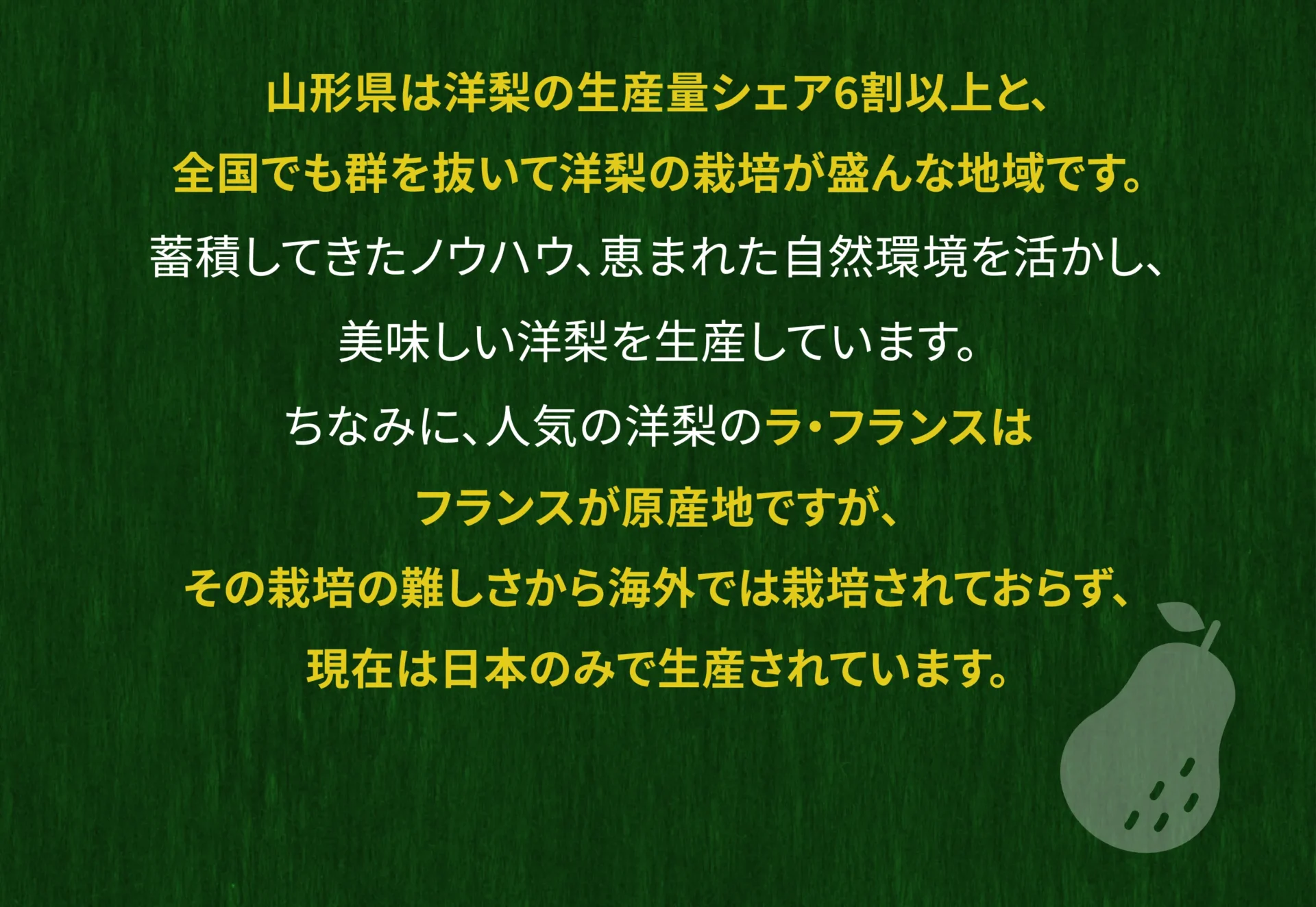 山形県は洋梨の生産量シェア６割以上と、全国でも群を抜いて洋梨の栽培が盛んな地域です。蓄積してきたノウハウ、恵まれた自然環境を活かし、美味しい洋梨を生産しています。ちなみに、人気の洋梨のラ・フランスはフランスが原産地ですが、その栽培の難しさから海外では栽培されておらず、現在は日本のみで生産されています。