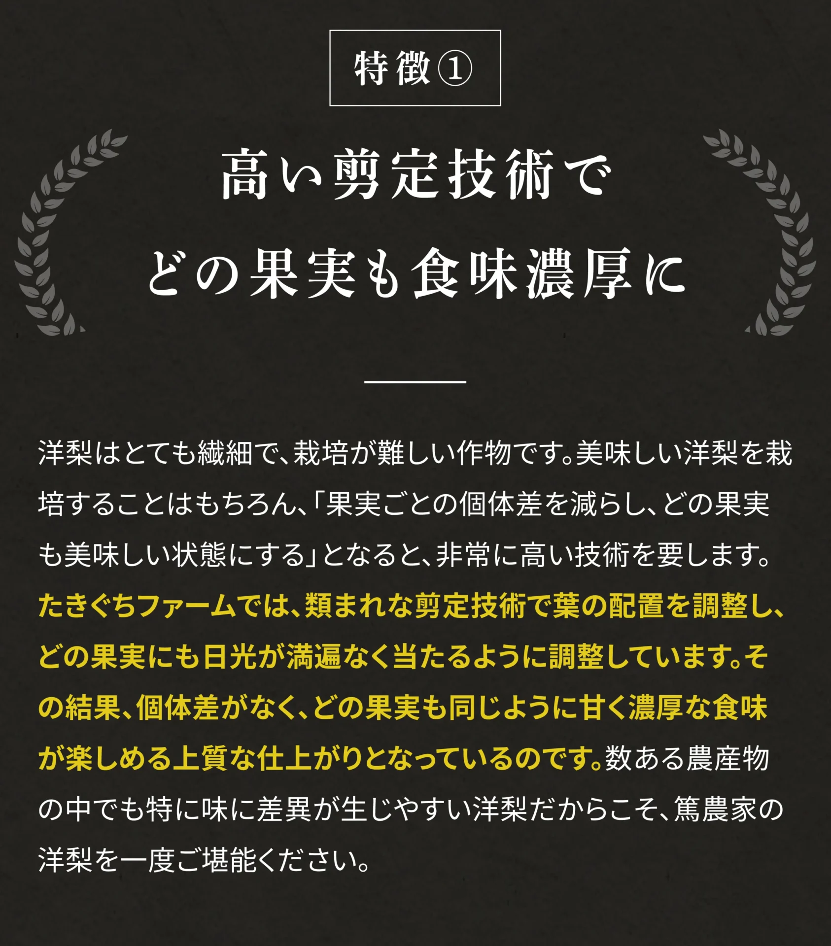 特徴① 高い剪定技術でどの果実も食味濃厚に 洋梨はとても繊細で、栽培が難しい作物です。美味しい洋梨を栽培することはもちろん、「果実ごとの個体差を減らし、どの果実も美味しい状態にする」となると、非常に高い技術を要します。たきぐちファームでは、類まれな剪定技術で葉の配置を調整し、どの果実にも日光が満遍なく当たるように調整しています。その結果、個体差がなく、どの果実も同じように甘く濃厚な食味が楽しめる上質な仕上がりとなっているのです。数ある農産物の中でも特に味に差異が生じやすい洋梨だからこそ、篤農家の洋梨を一度ご堪能ください。