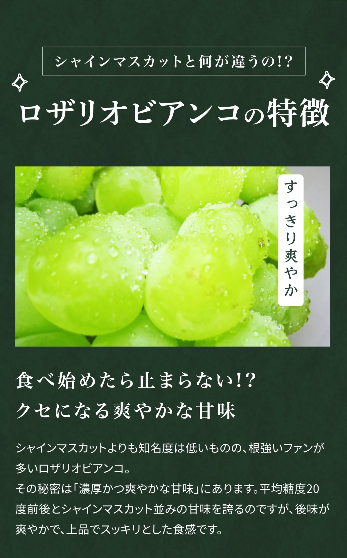 シャインマスカットと何が違うの!?ロザリオビアンコの特徴 食べ始めたら止まらない!?クセになる爽やかな甘味 シャインマスカットよりも知名度は低いものの、根強いファンが多いロザリオビアンコ。その秘密は「濃厚かつ爽やかな甘味」にあります。平均糖度20度前後とシャインマスカット並みの甘みを誇るのですが、後味が爽やかで、上品でスッキリとした食感です。