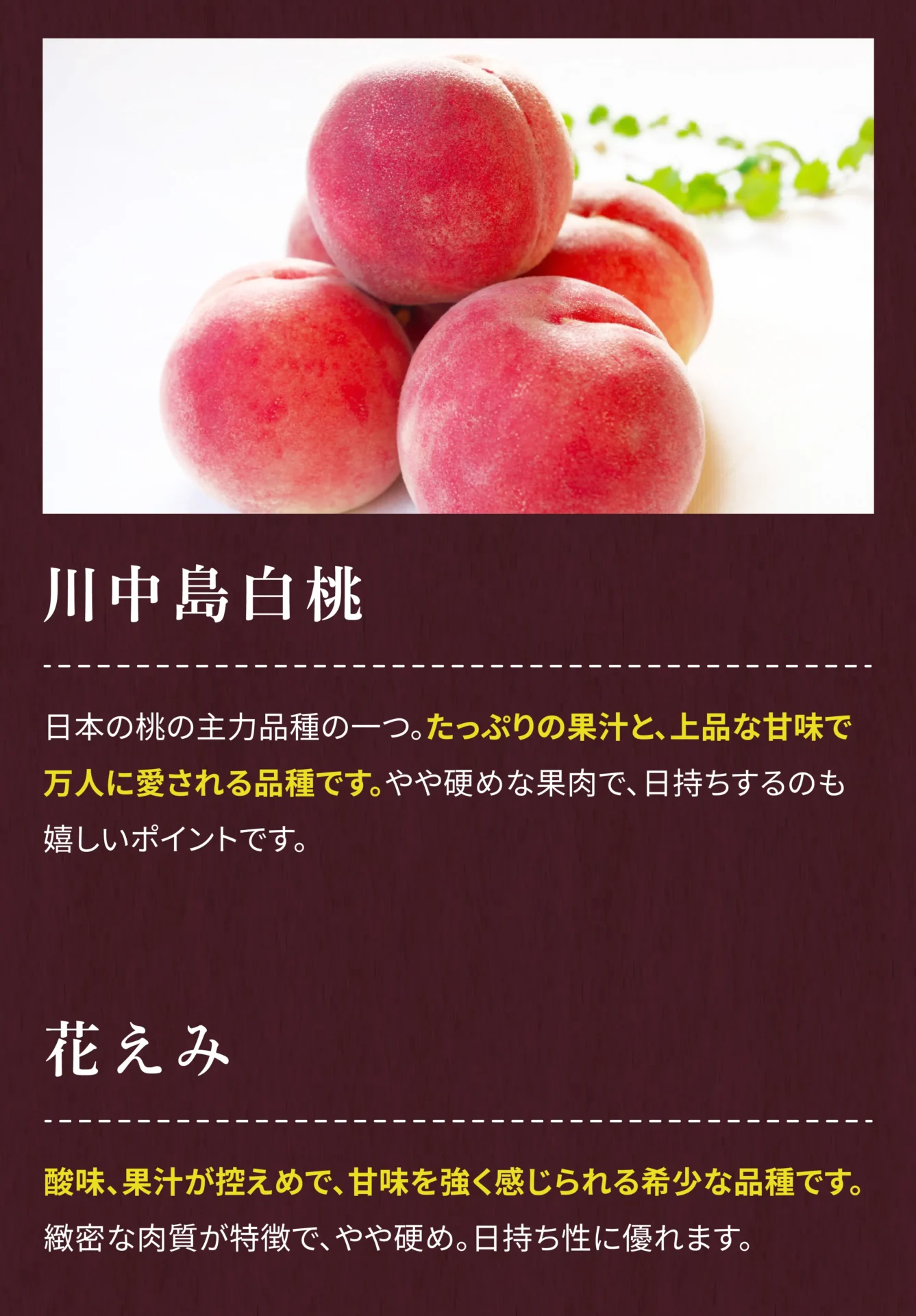 川中島白桃 日本の桃の主力品種の一つ。たっぷりの果汁と、上品な甘味で万人に愛される品種です。やや硬めな果肉で、日持ちするのも嬉しいポイントです。 花えみ 酸味、果汁が控えめで、甘味を強く感じられる希少な品種です。緻密な肉質が特徴で、やや硬め。日持ち性に優れます。