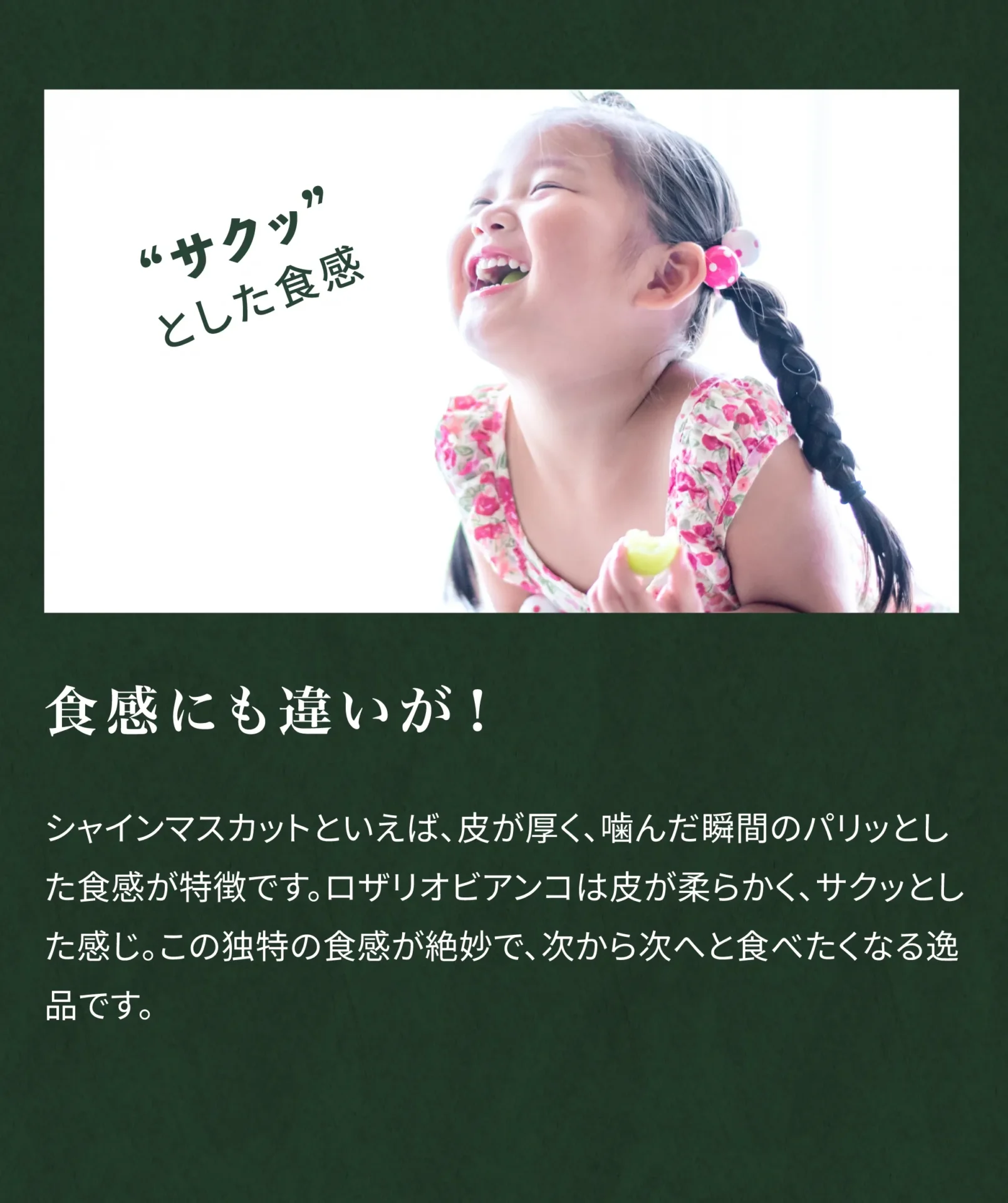 食感にも違いが！シャインマスカットといえば、皮が厚く、噛んだ瞬間のパリッとした食感が特徴です。ロザリオビアンコは皮が柔らかく、サクッとした感じ。この独特の食感が絶妙で、次から次へと食べたくなる逸品です。