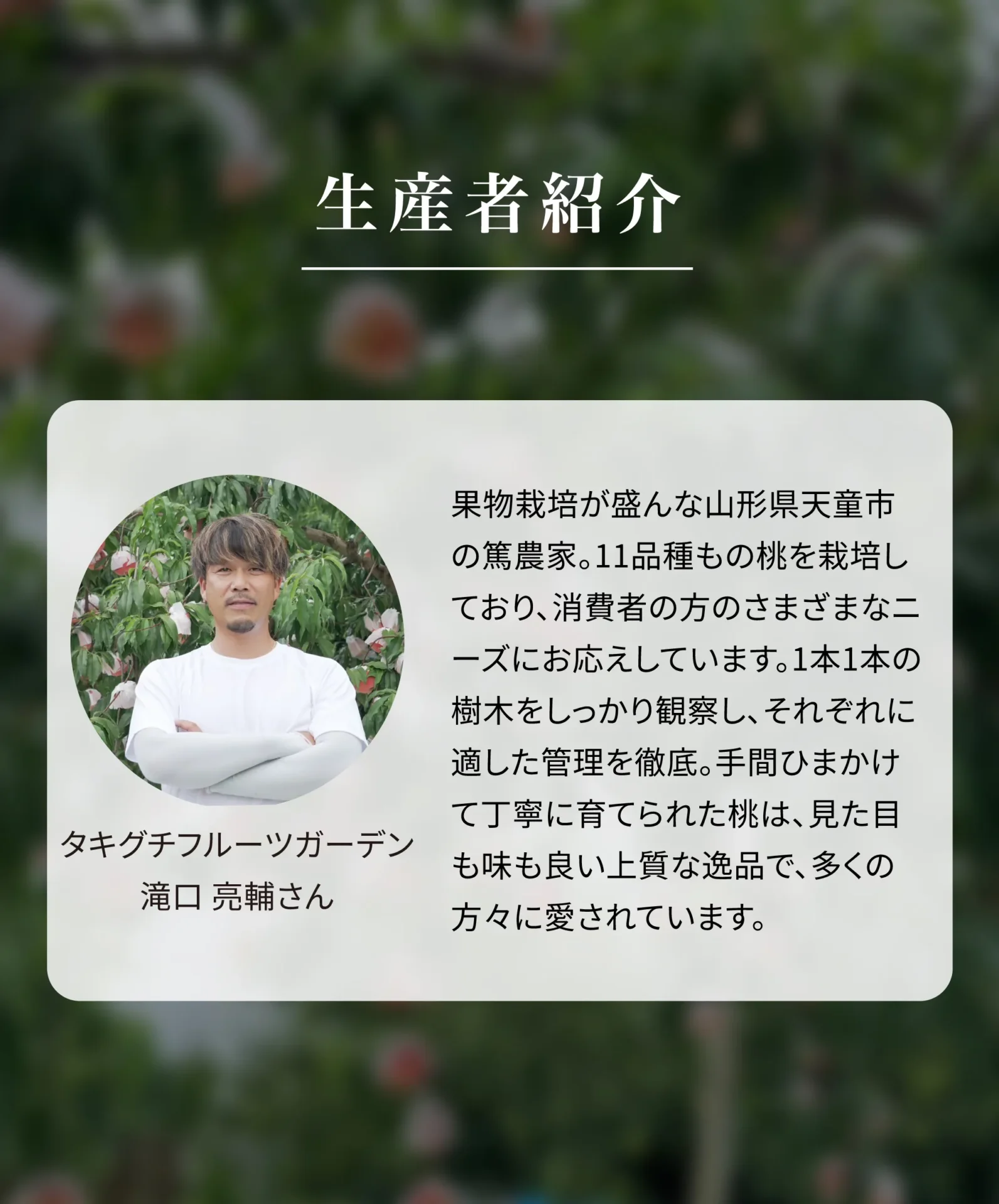 生産者紹介 タキグチフルーツガーデン 滝口亮輔さん 果物栽培が盛んな山形県天童市の篤農家。11品種もの桃を栽培しており、消費者の方のさまざまなニーズにお応えしています。1本1本の樹木をしっかり観察し、それぞれに適した管理を徹底。手間ひまかけて丁寧に育てられた桃は、見た目も味も良い上質な逸品で、多くの方々に愛されています。