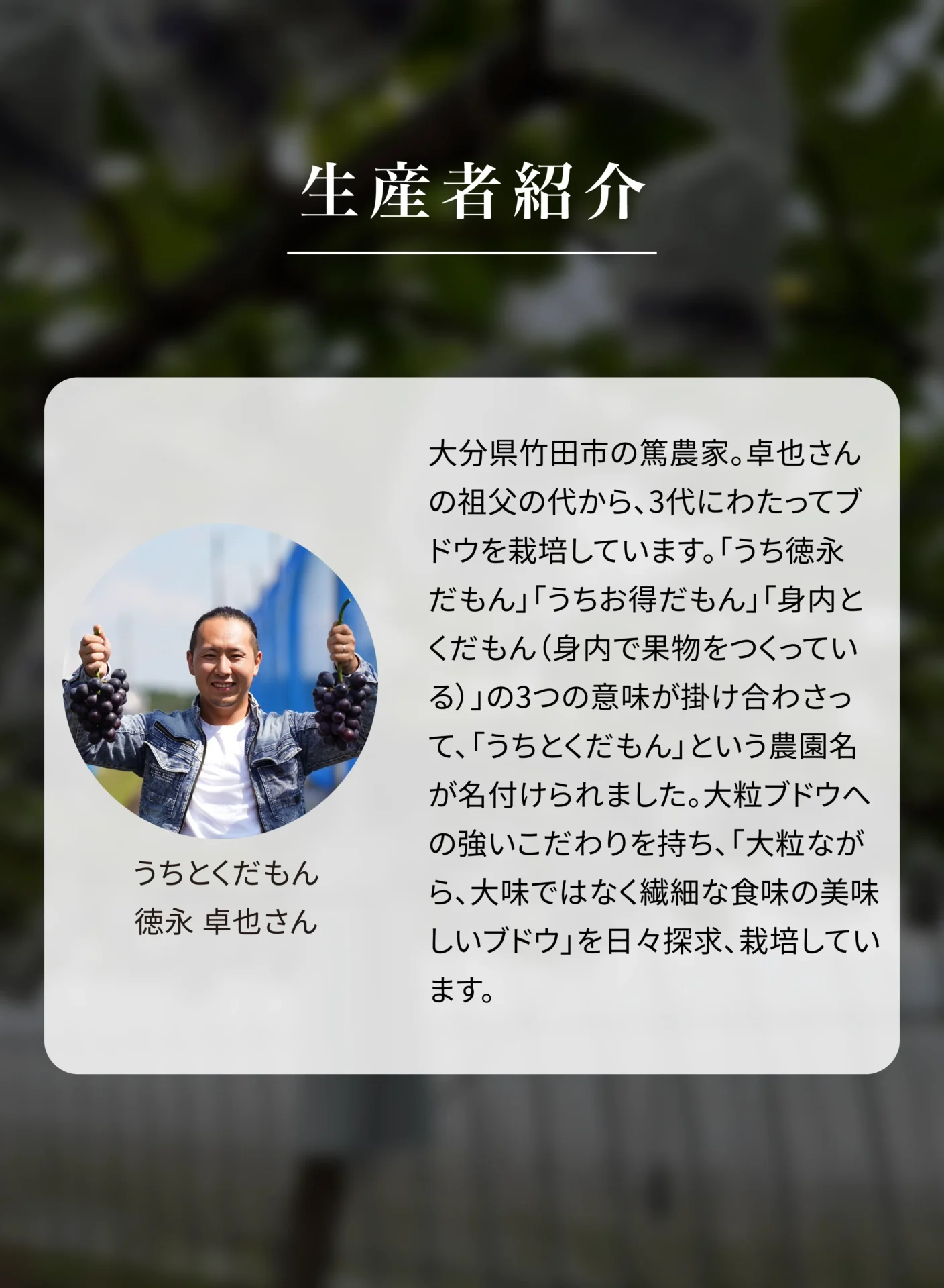 生産者紹介 うちとくだもん 徳永卓也さん 大分県竹田市の篤農家。卓也さんの祖父の代から、3代にわたってブドウを栽培しています。「うち徳永だもん」「うちお得だもん」「身内とくだもん(身内で果物をつくっている)」の3つの意味が掛け合わさって、「うちとくだもん」という農園名が名づけられました。大粒ブドウへの強いこだわりを持ち、「大粒ながら、大味ではなく繊細な食味の美味しいブドウ」を日々探求、栽培しています。