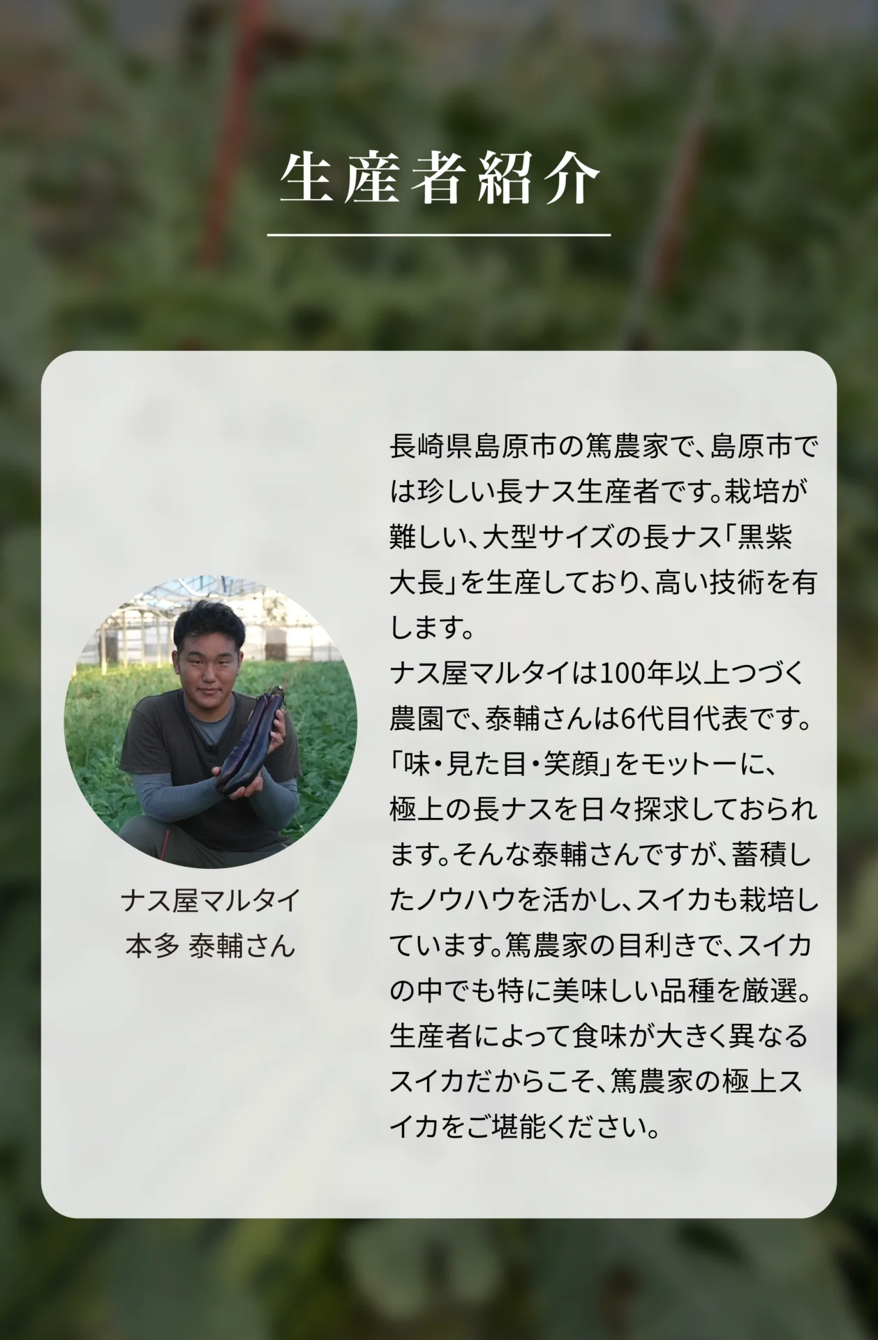 生産者紹介 ナス屋マルタイ 本多泰輔さん 長崎県島原市の篤農家で、島原市では珍しい長ナス生産者です。栽培が難しい、大型サイズの長ナス「黒紫大長」を生産しており、高い技術を有します。ナス屋マルタイは100年以上つづく農園で、泰輔さんは6代目代表です。「味・見た目・笑顔」をモットーに、極上の長ナスを日々探求しておられます。そんな泰輔さんですが、蓄積したノウハウを活かし、スイカも栽培しています。篤農家の目利きで、スイカの中でも特に美味しい品種を厳選。生産者によって食味が大きく異なるスイカだからこそ、篤農家の極上スイカをご堪能ください。