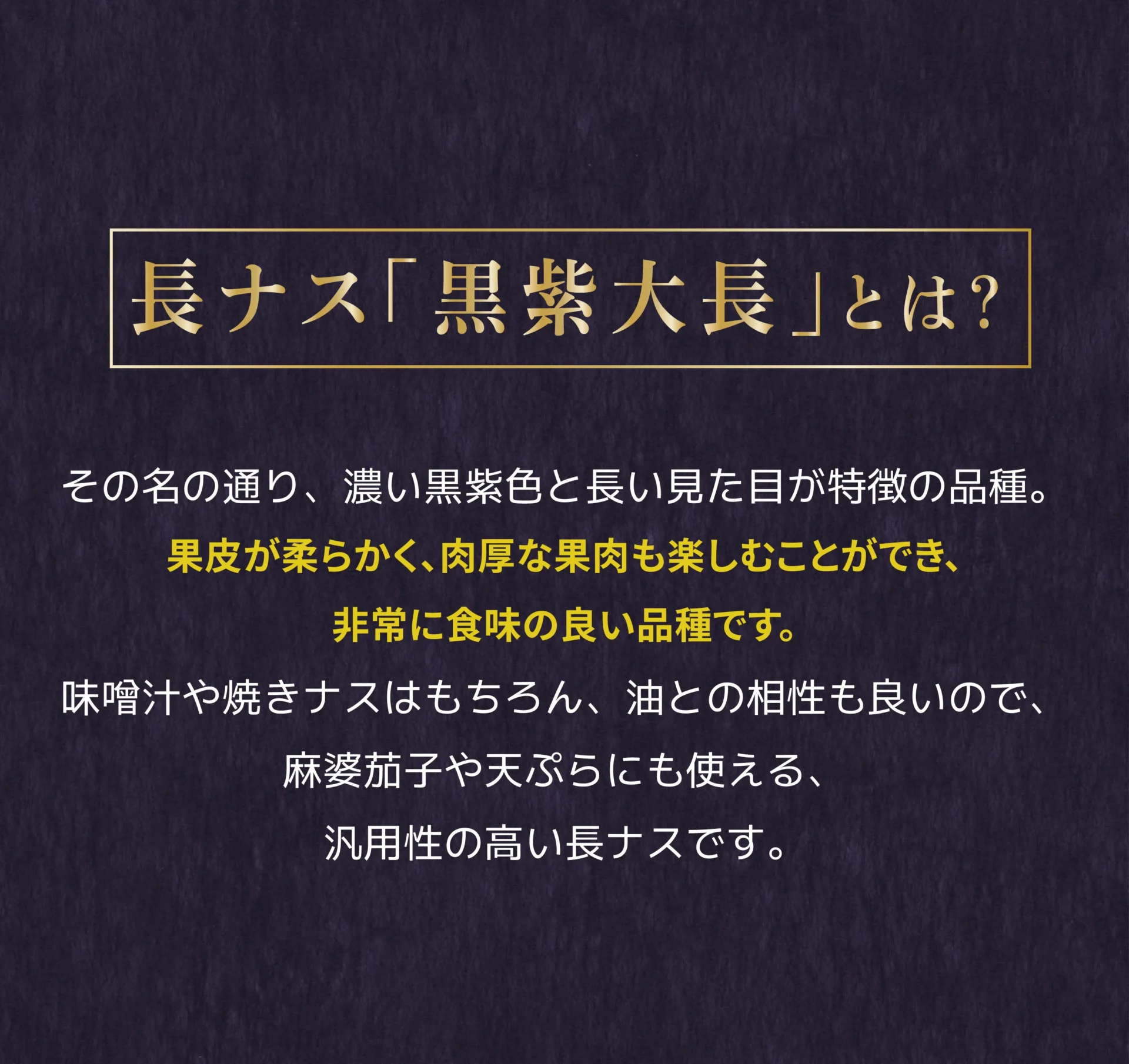 長ナス「黒紫大長」とは？その名の通り、濃い黒紫色と長い見た目が特徴の品種。果皮が柔らかく、肉厚な果肉も楽しむことができ、非常に食味の良い品種です。みそ汁や焼きナスはもちろん、油との相性も良いので、麻婆茄子や天ぷらにも使える、汎用性の高い長ナスです。