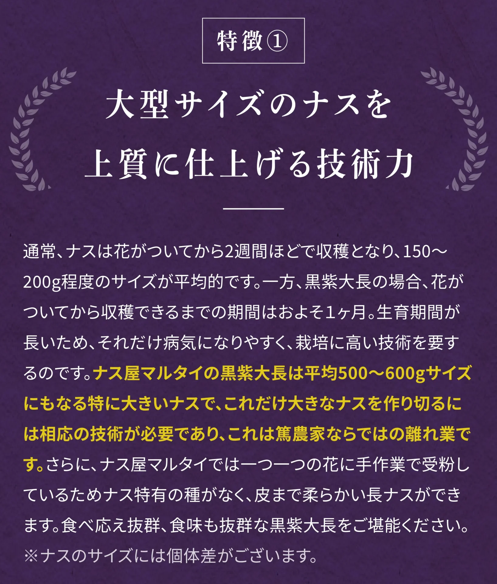 特徴①大型サイズのナスを上質に仕上げる技術力 通常、ナスは花がついてから2週間ほどで収穫となり、150～200g程度のサイズが平均的です。一方、黒紫大長の場合、花がついてから収穫できるまでの期間はおよそ1ヶ月。生育期間が長いため、それだけ病気になりやすく、栽培に高い技術を要するのです。ナス屋マルタイの黒紫大長は平均500～600gサイズにもなる得に大きいナスで、これだけ大きなナスを作り切るには相応の技術が必要でありこれは篤農家ならではの離れ業です。さらにナス屋マルタイでは一つ一つの花に手作業で受粉しているためナス特有の種がなく、皮まで柔らかい長ナスができます。食べ応え抜群、食味も濃厚な黒紫大長をご堪能ください。※ナスのサイズには個体差がございます。