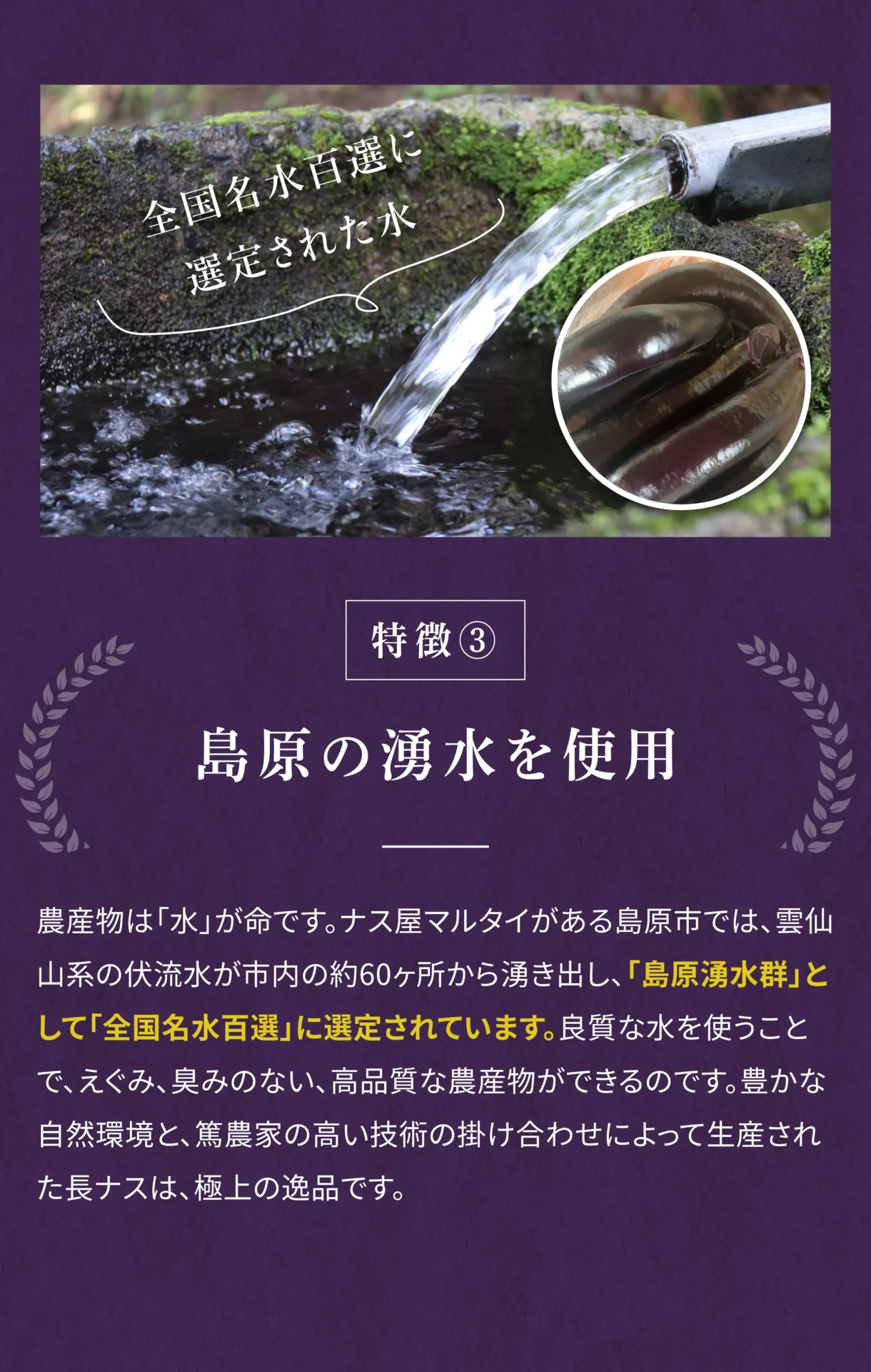 特徴③島原の湧水を使用 農産物は「水」が命です。ナス屋マルタイがある島原市では、雲仙山系の伏流水が市内の約60ヶ所から湧き出し、「島原湧水群」として「全国名水百選」に選定されています。良質な水を使うことで、えぐみ、臭みのない、高品質な農産物ができるのです。豊かな自然環境と、篤農家の高い技術の掛け合わせによって生産された長ナスは、極上の逸品です。