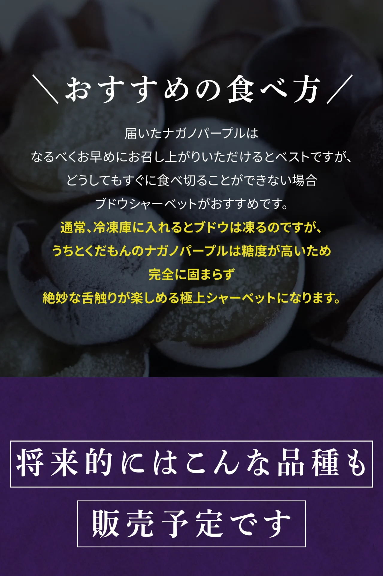 おすすめの食べ方 届いたナガノパープルはなるべくお早めにお召し上がりいただけるとベストですが、どうしてもすぐに食べきることができない場合ブドウシャーベットがおすすめです。通常、冷凍庫に入れるとブドウは凍るのですが、うちとくだもんのナガノパープルは糖度が高いため完全に固まらず絶妙な舌触りが楽しめる極上シャーベットになります。 将来的にはこんな品種も販売予定です