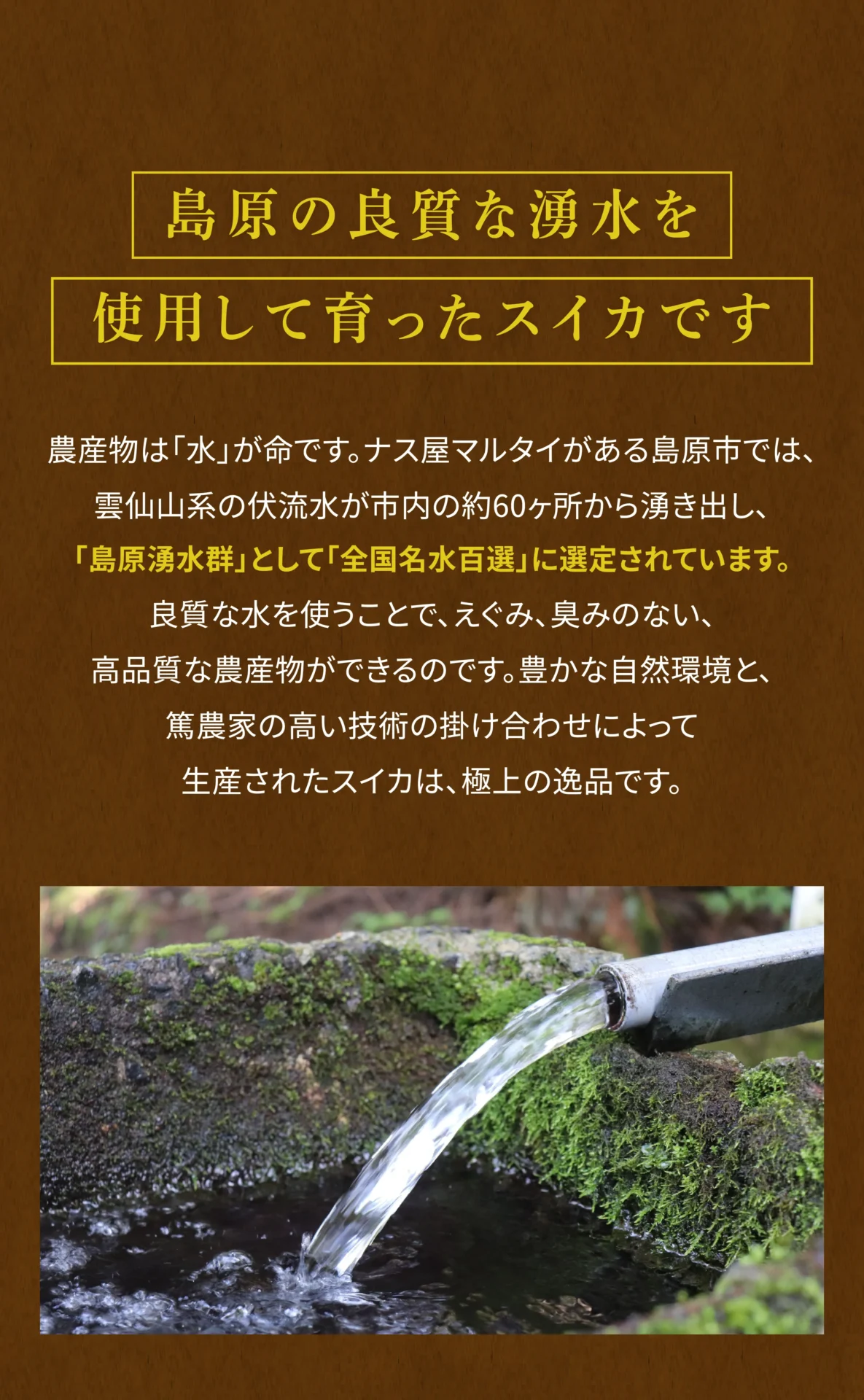 島原の良質な湧水を使用して育ったスイカで  農産物は「水」が命です。ナス屋マルタイがある島原市では、雲仙山系の伏流水が市内の約60ヶ所から湧き出し、「島原湧水群」として「全国名水百選」に選定されています。良質な水を使うことで、えぐみ、臭みのない、高品質な農産物ができるのです。豊かな自然環境と、篤農家の高い技術の掛け合わせによって生産されたスイカは、極上の逸品です。