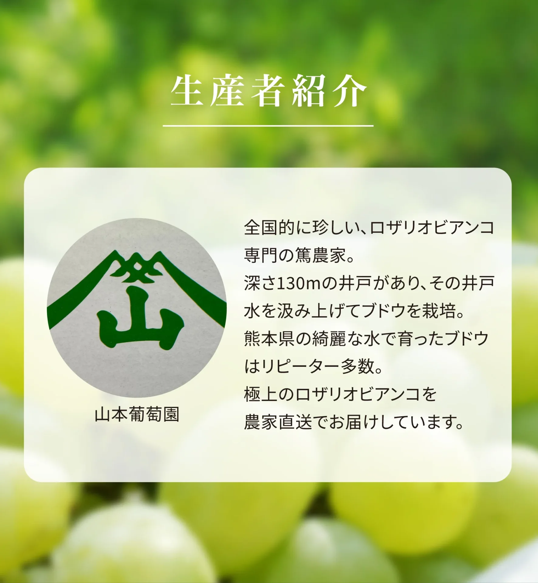 生産者紹介 山本葡萄園 全国的に珍しい、ロザリオビアンコ専門の篤農家。深さ130mの井戸があり、その井戸水を汲み上げてブドウを栽培。熊本県の綺麗な水で育ったブドウはリピーター多数。極上のロザリオビアンコを農家直送でお届けしています。